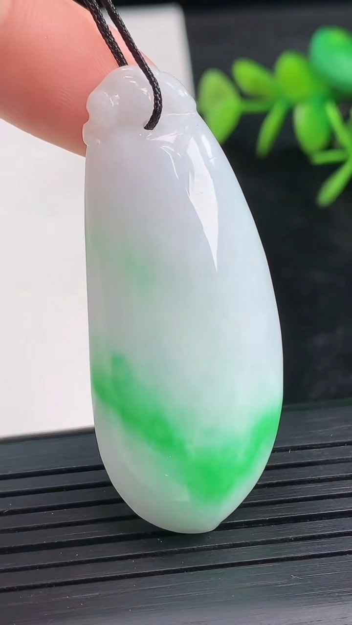 天然A货翡翠福瓜吊坠尺寸49.1-20.6-11.7重量:19.45g
3月28日