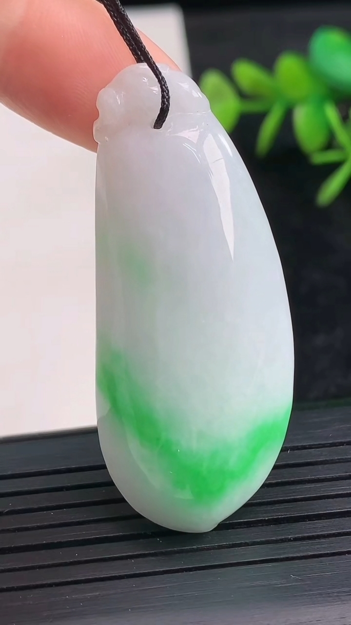 天然A货翡翠福瓜吊坠尺寸49.1-20.6-11.7重量:19.45g
3月28日