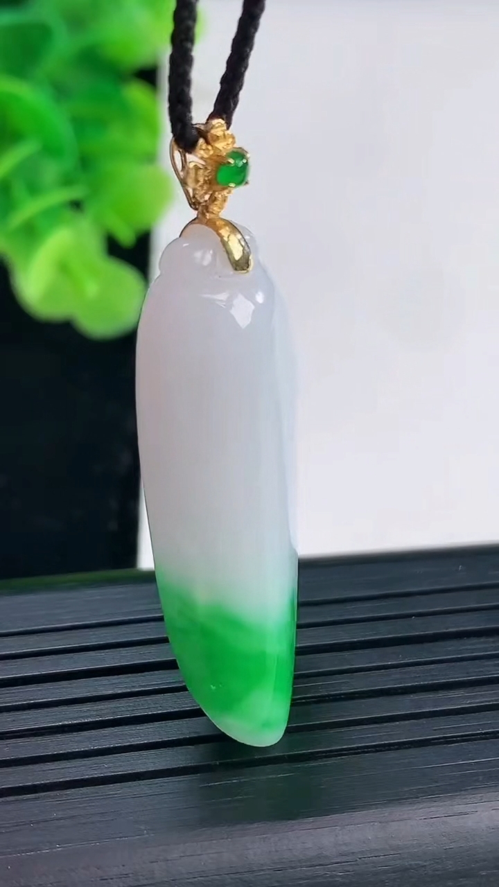 天然A货翡翠福瓜吊坠尺寸39.2-15.7-9.6重量:11.27g
3月31日