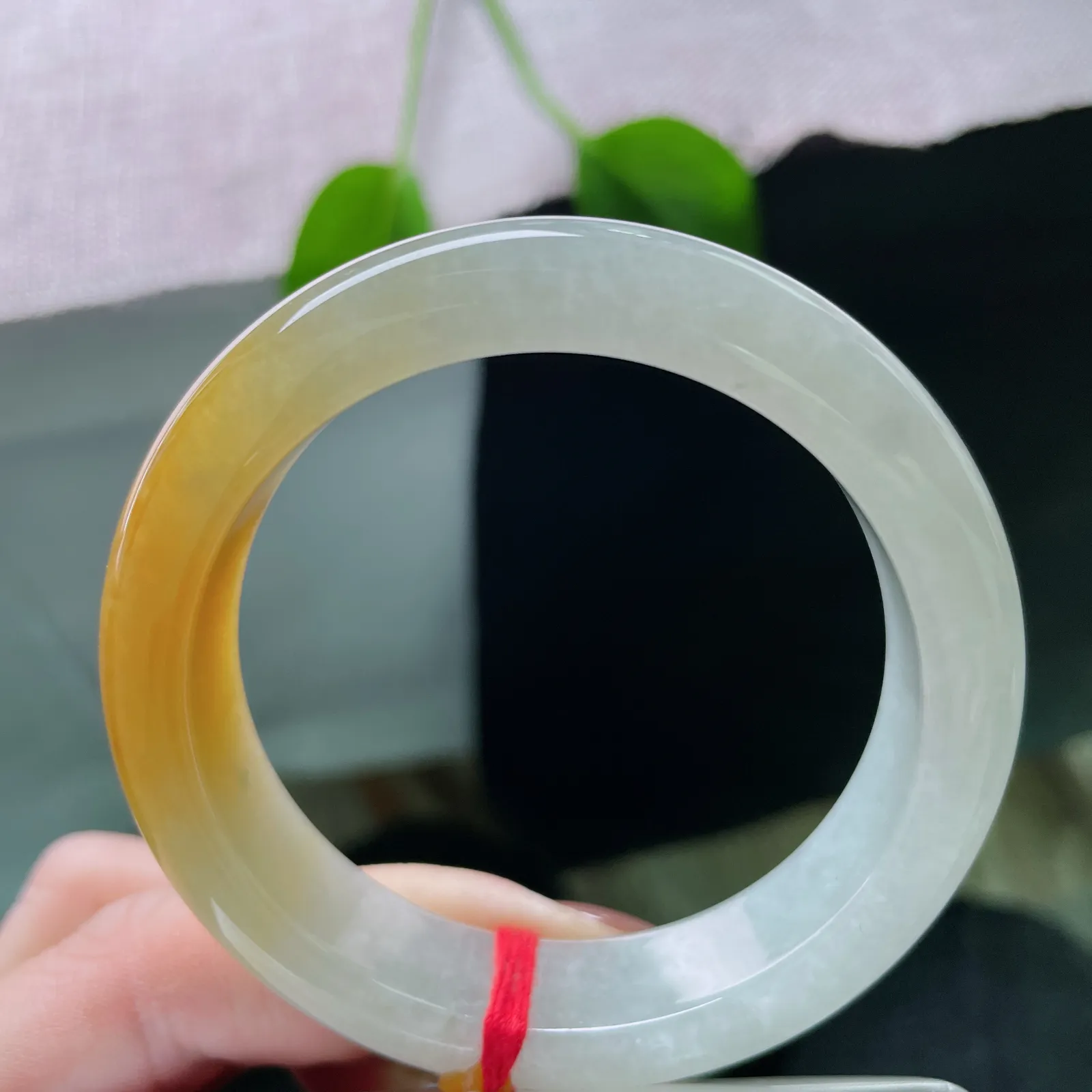 54/13.6/8.6，冰黄翡正圈，冰润如秋水，黄韵若朝晖，是时光沉淀的温柔与明亮。