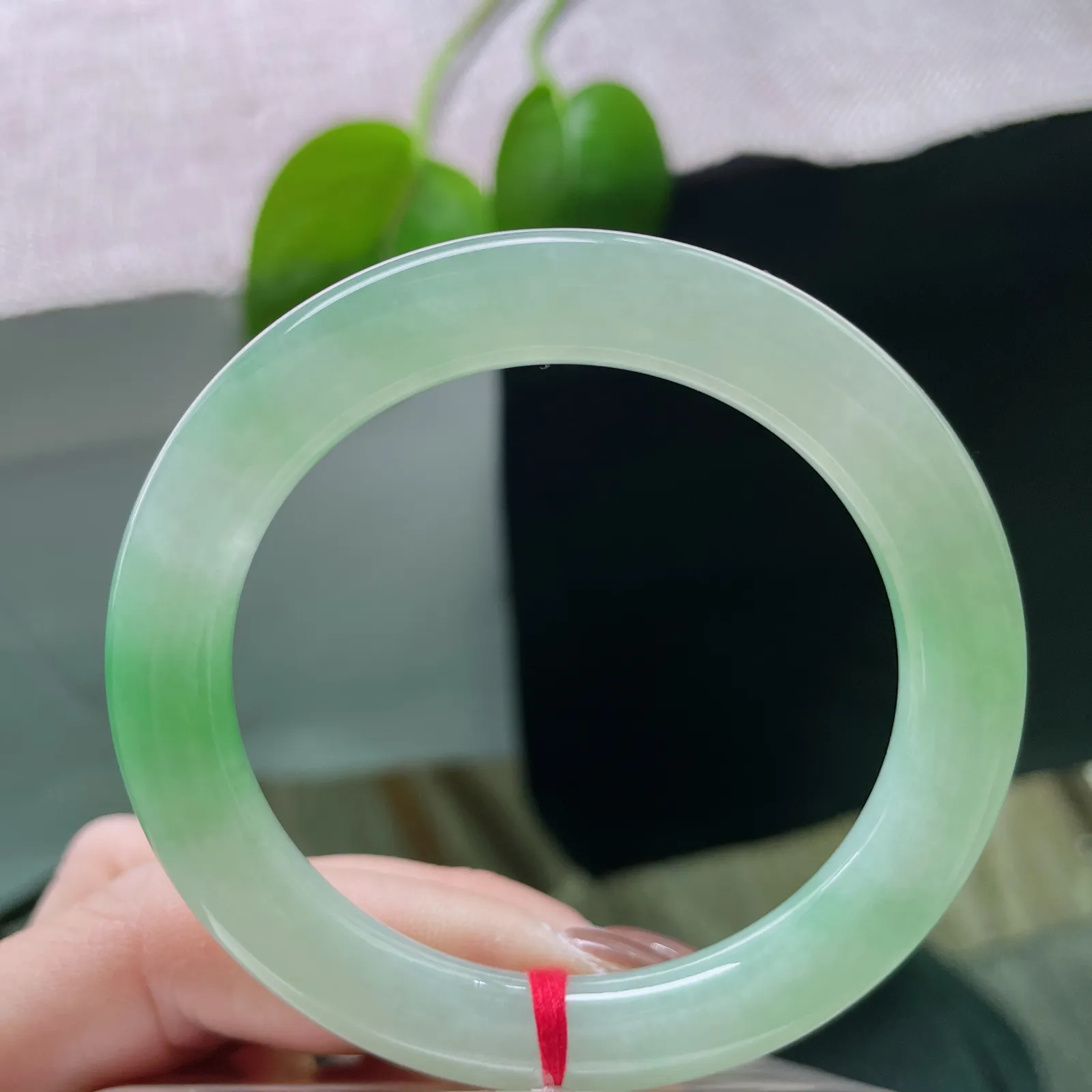 53.3/9.4飘绿圆条，水润细腻，似山间晨曦，林梢透出的第一缕光，贵气