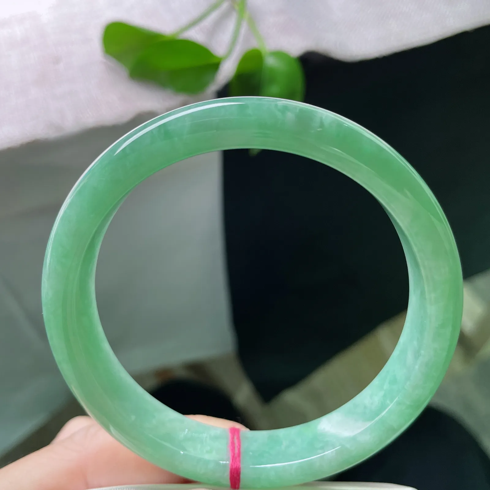 63.4/12.8/8.3果绿正圈，水润，大圈口，色系甜美，优雅大方