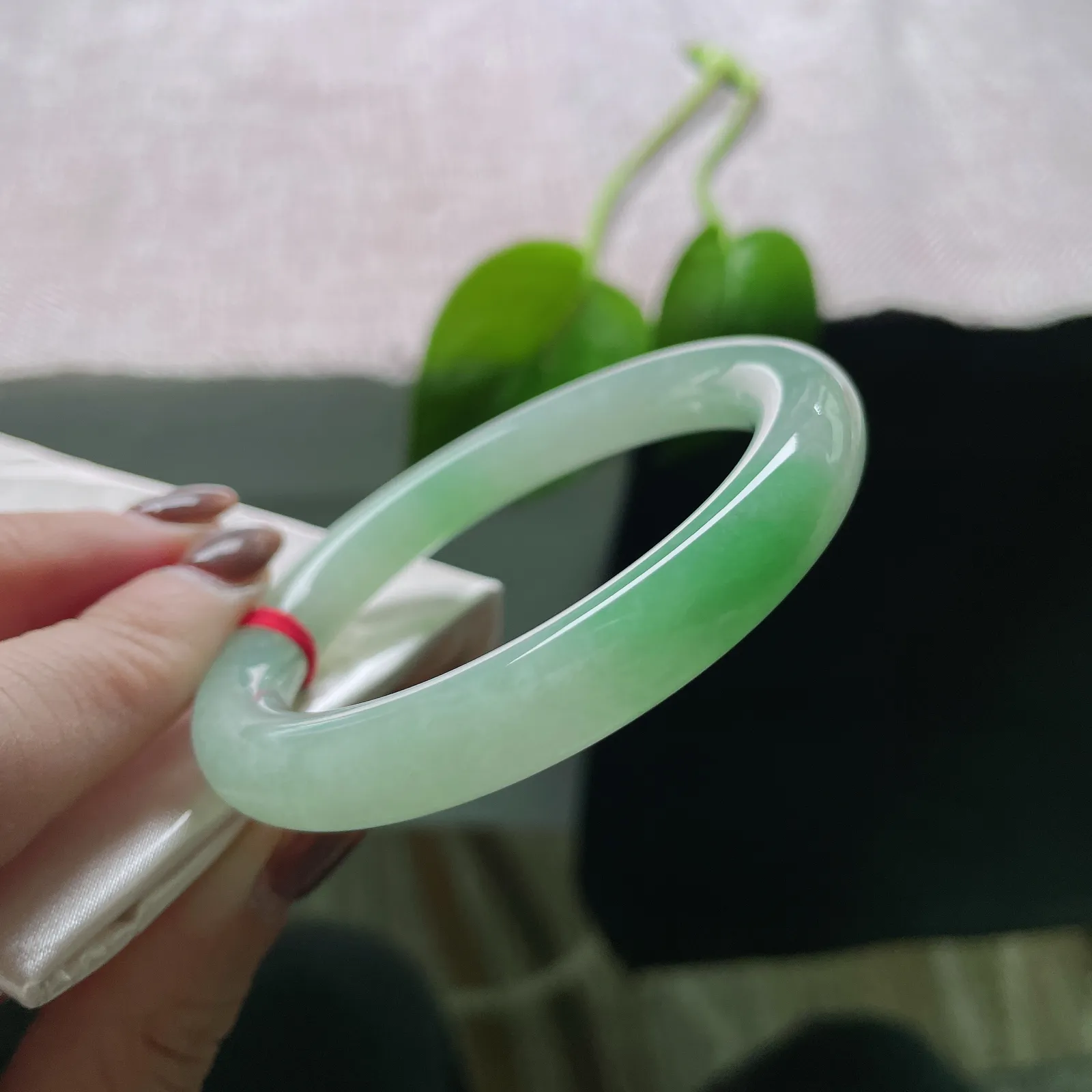 53.3/9.4飘绿圆条，水润细腻，似山间晨曦，林梢透出的第一缕光，贵气