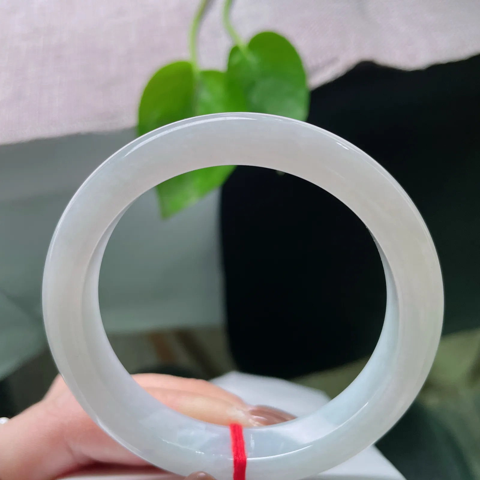 56/11.7/8.6，白底正圈，出水芙蓉，肉质细腻干净，清爽自然