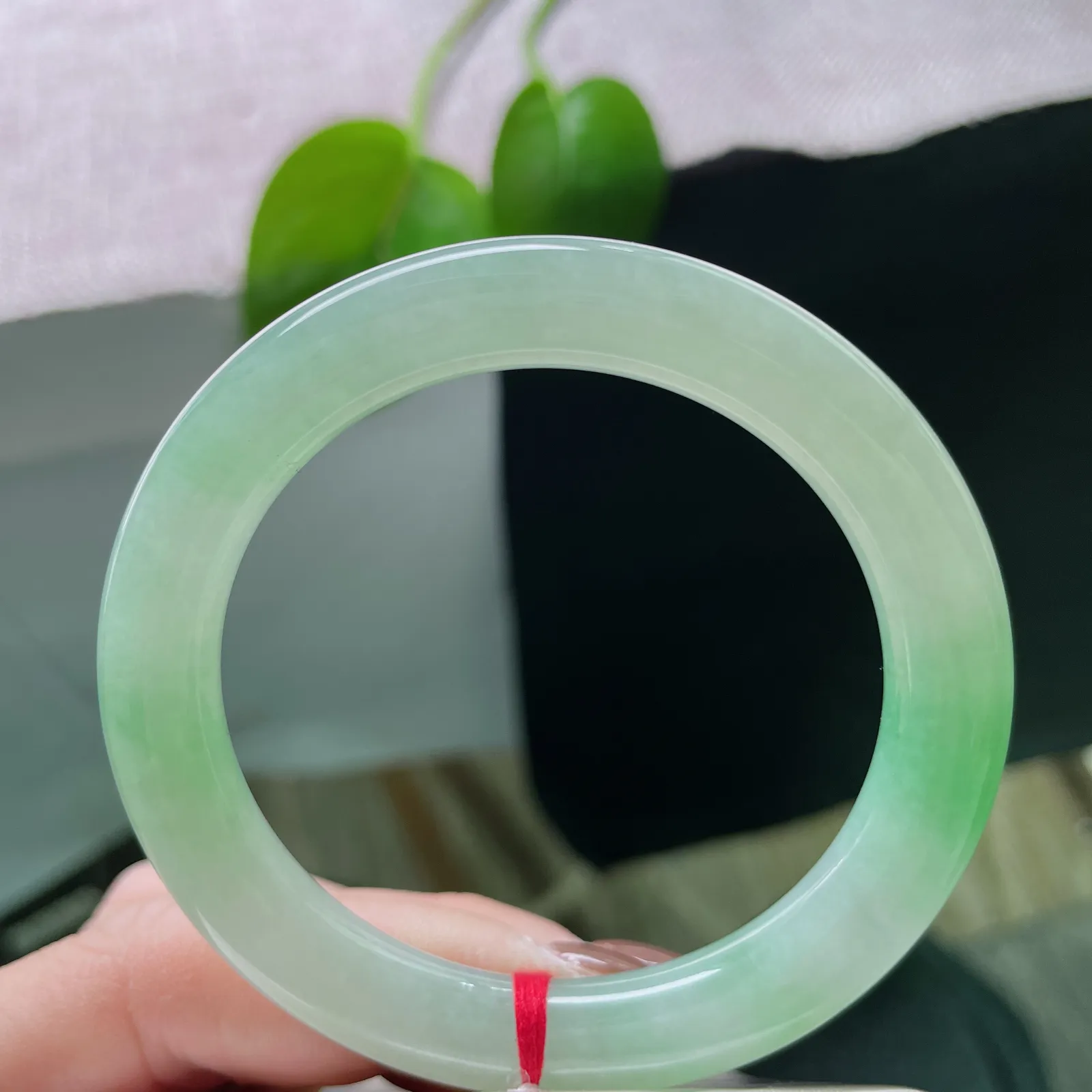 53.3/9.4飘绿圆条，水润细腻，似山间晨曦，林梢透出的第一缕光，贵气