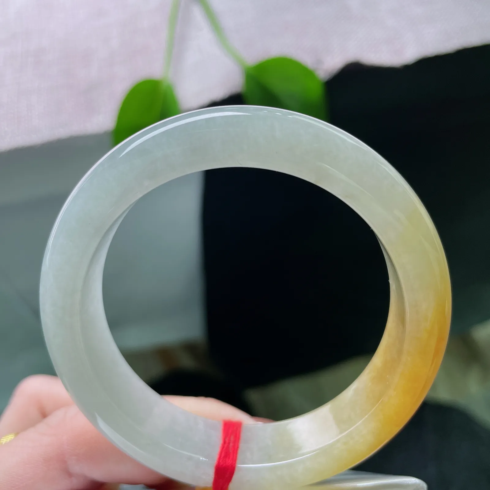 54/13.6/8.6，冰黄翡正圈，冰润如秋水，黄韵若朝晖，是时光沉淀的温柔与明亮。