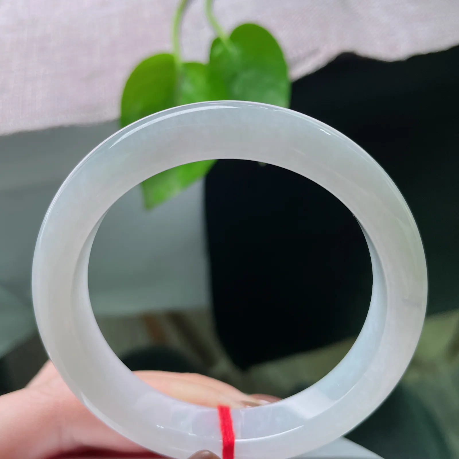 56/11.7/8.6，白底正圈，出水芙蓉，肉质细腻干净，清爽自然