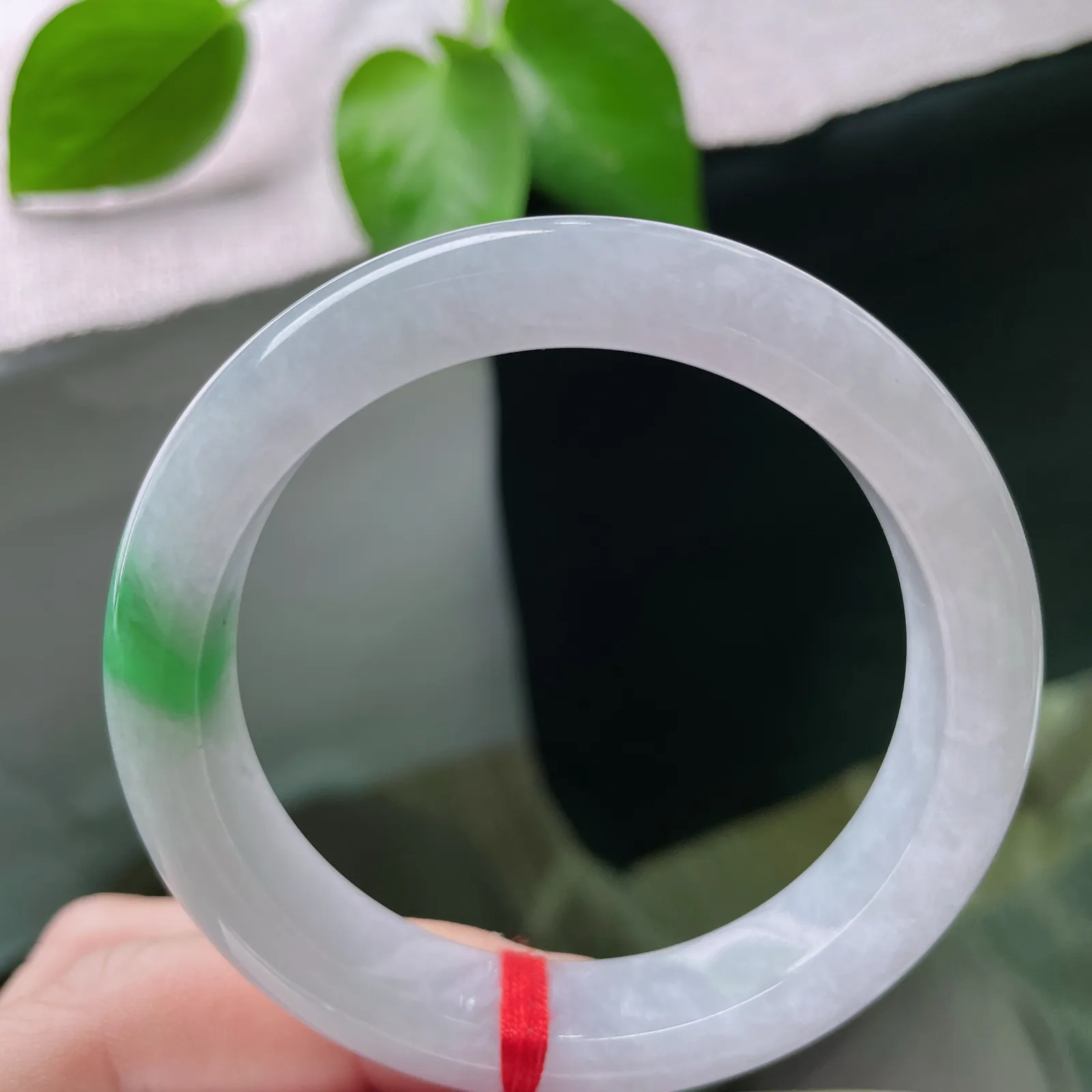 55.3/12/8.6。白底青正圈，种老，以素净底色承载赤诚，以鲜活青绿点亮日常。一点皮纹