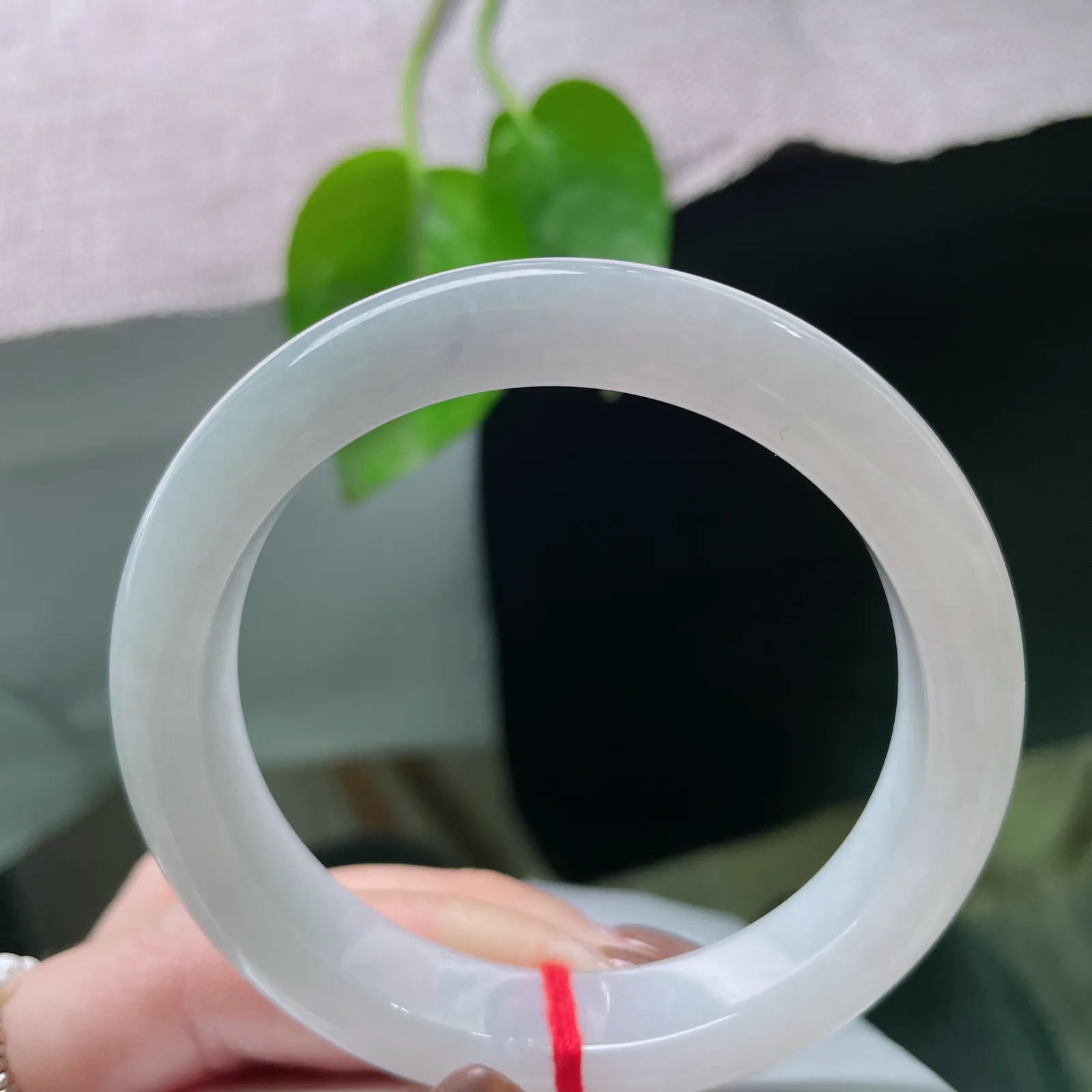 56/11.7/8.6，白底正圈，出水芙蓉，肉质细腻干净，清爽自然