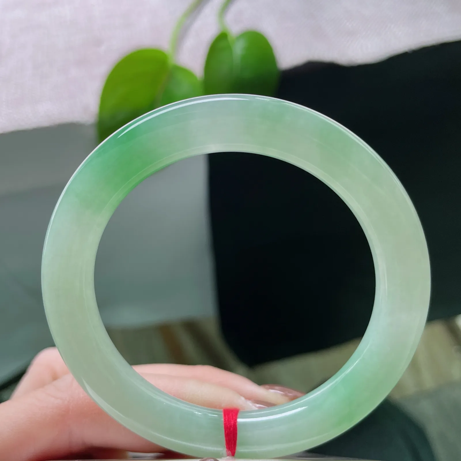 53.3/9.4飘绿圆条，水润细腻，似山间晨曦，林梢透出的第一缕光，贵气