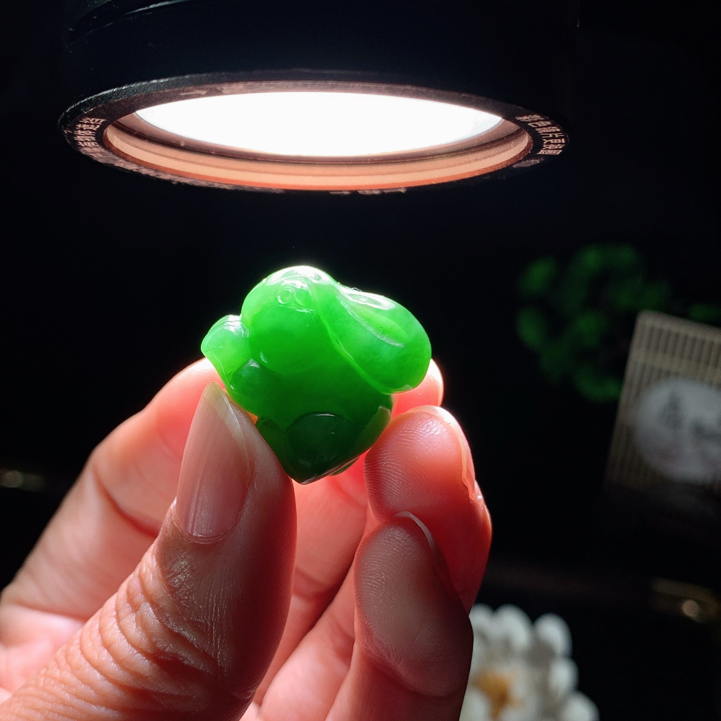 和田玉阳绿俄罗斯碧玉兔子挂件。尺寸20/14/20重9.6克。玉质细腻油润。手推出油。佩戴高端典雅。lt260310