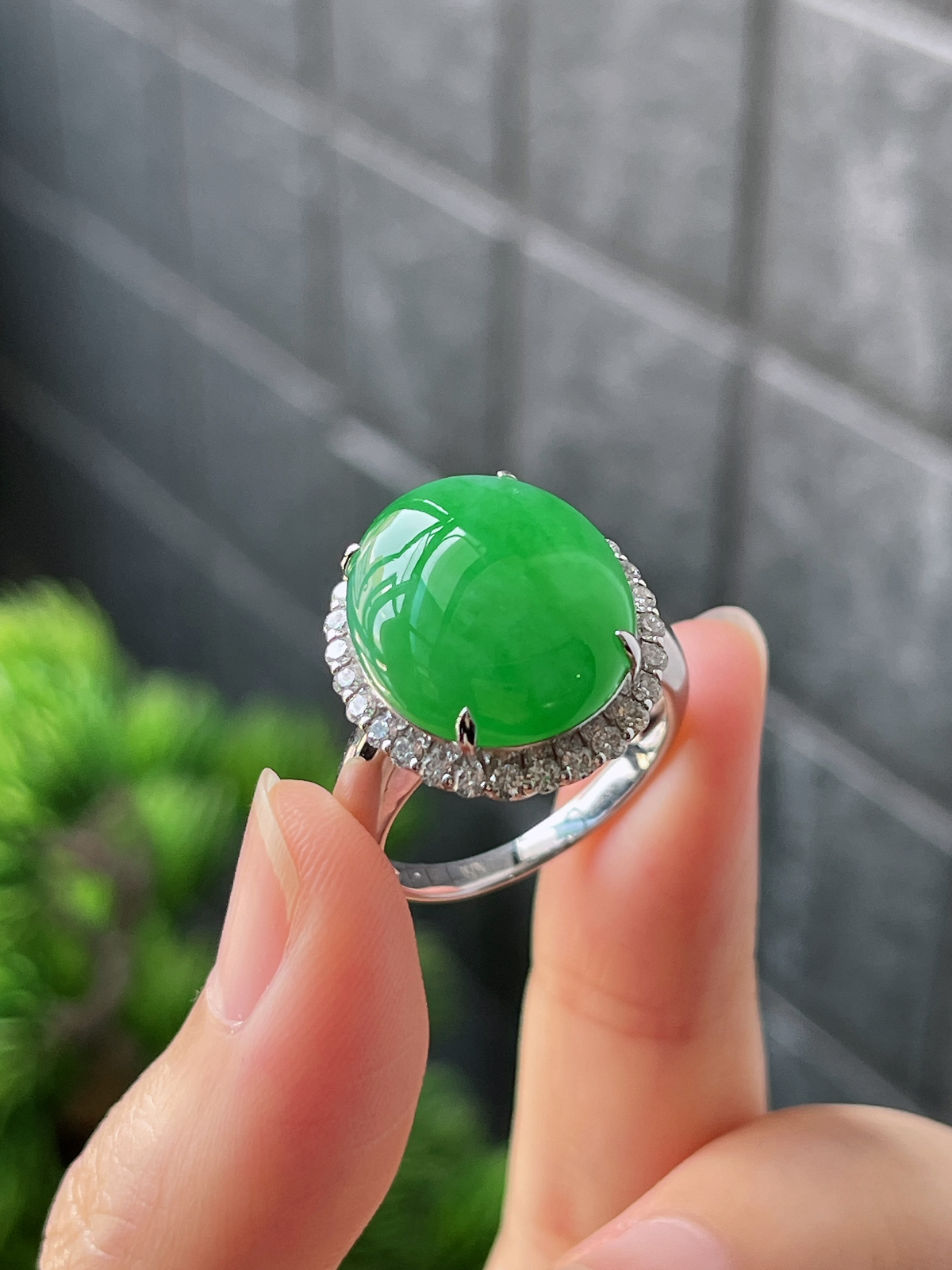 18k翡翠冰糯绿色大蛋面戒指