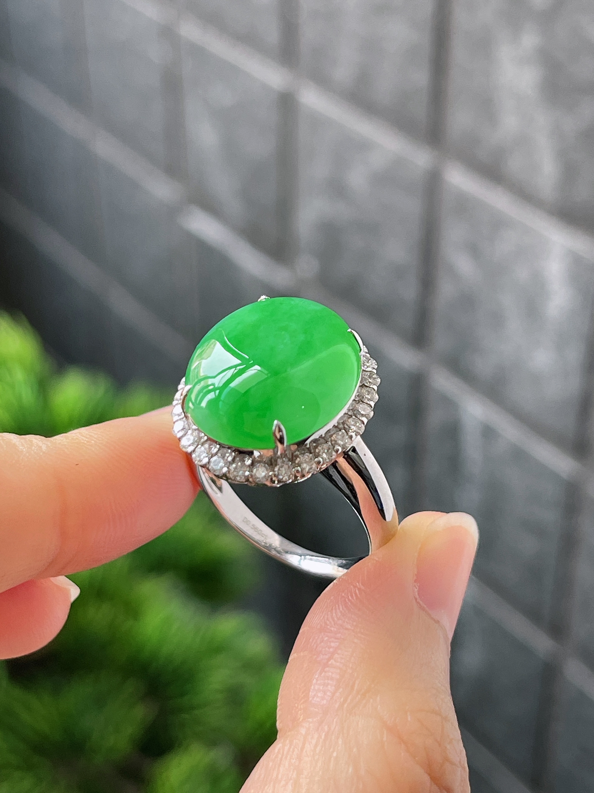 18k翡翠冰糯绿色大蛋面戒指