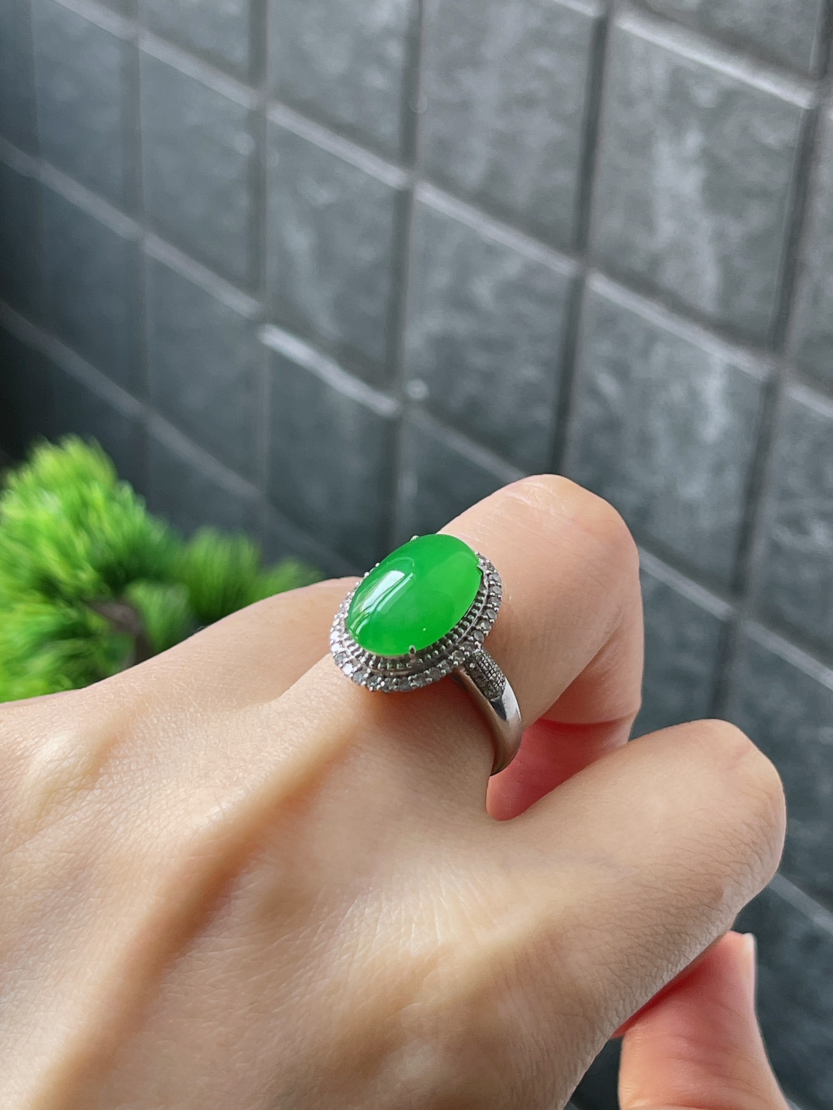 18k翡翠冰阳绿色戒指