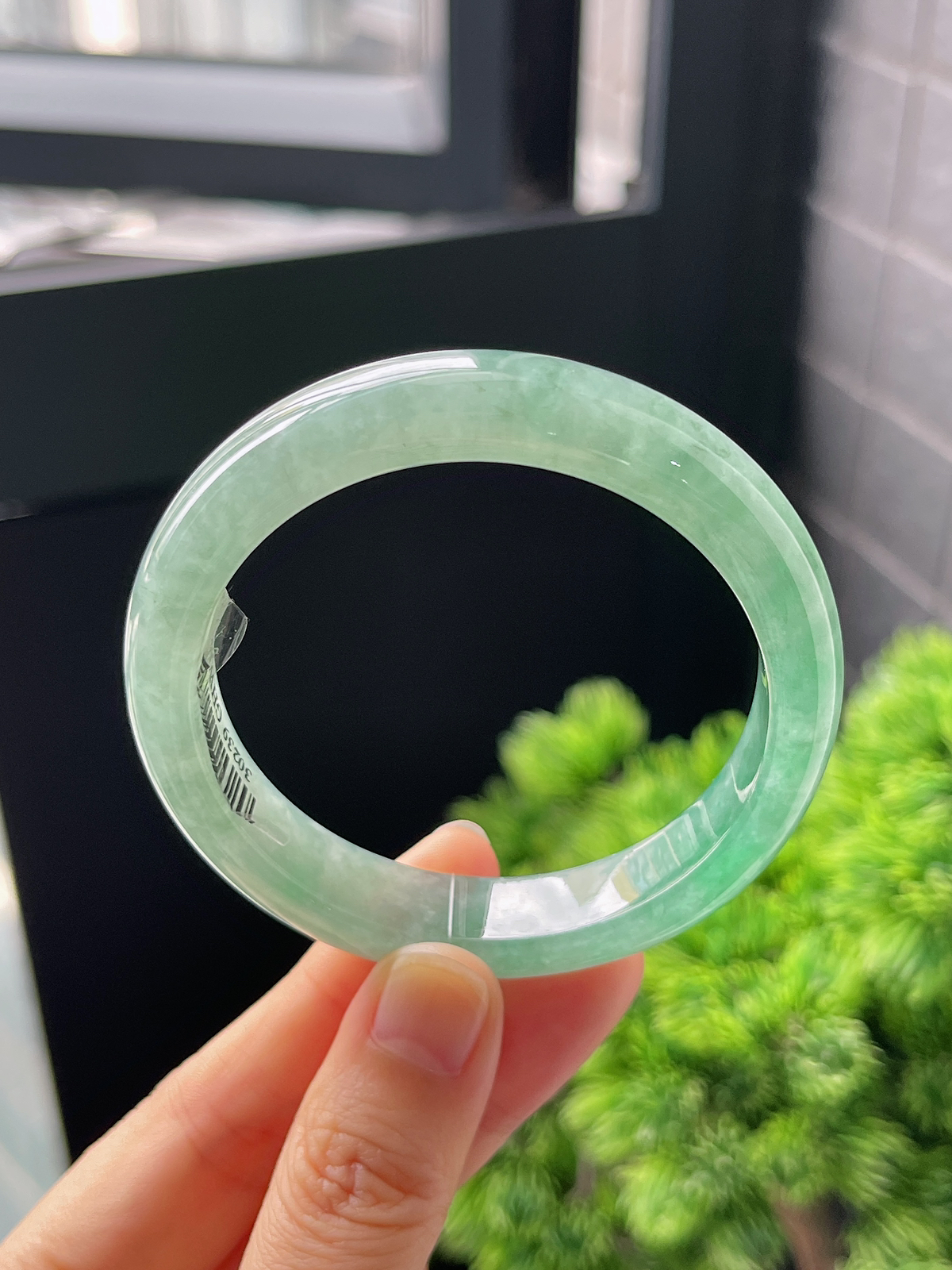 正圈53.4圈口，翡翠冰糯种飘绿手镯