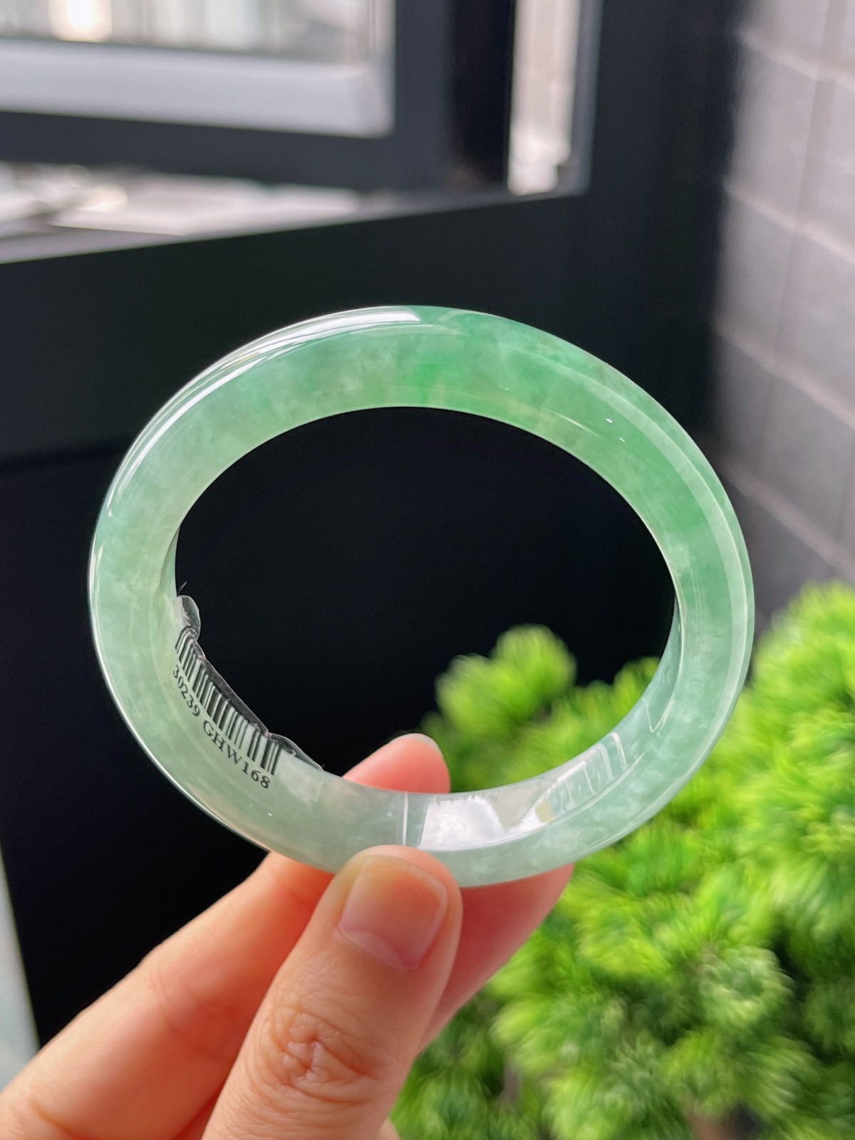 正圈53.4圈口，翡翠冰糯种飘绿手镯