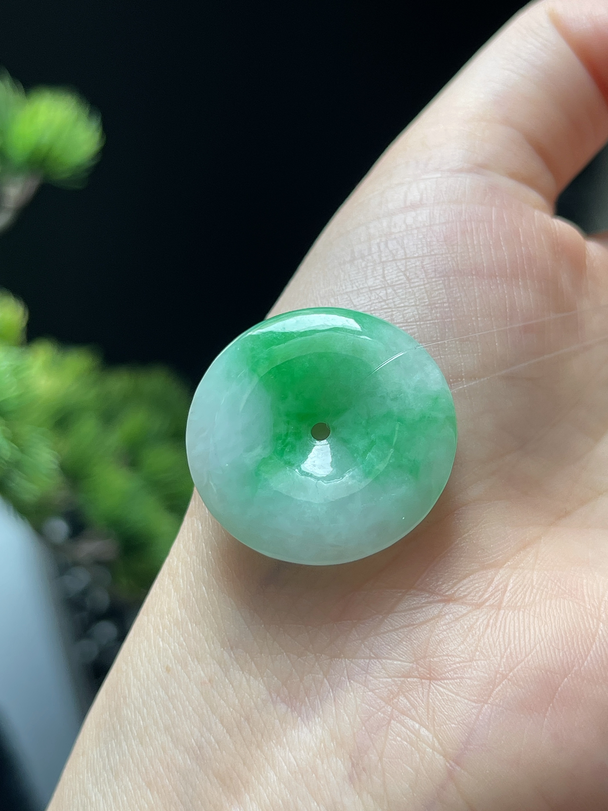 翡翠糯化种飘绿平安扣