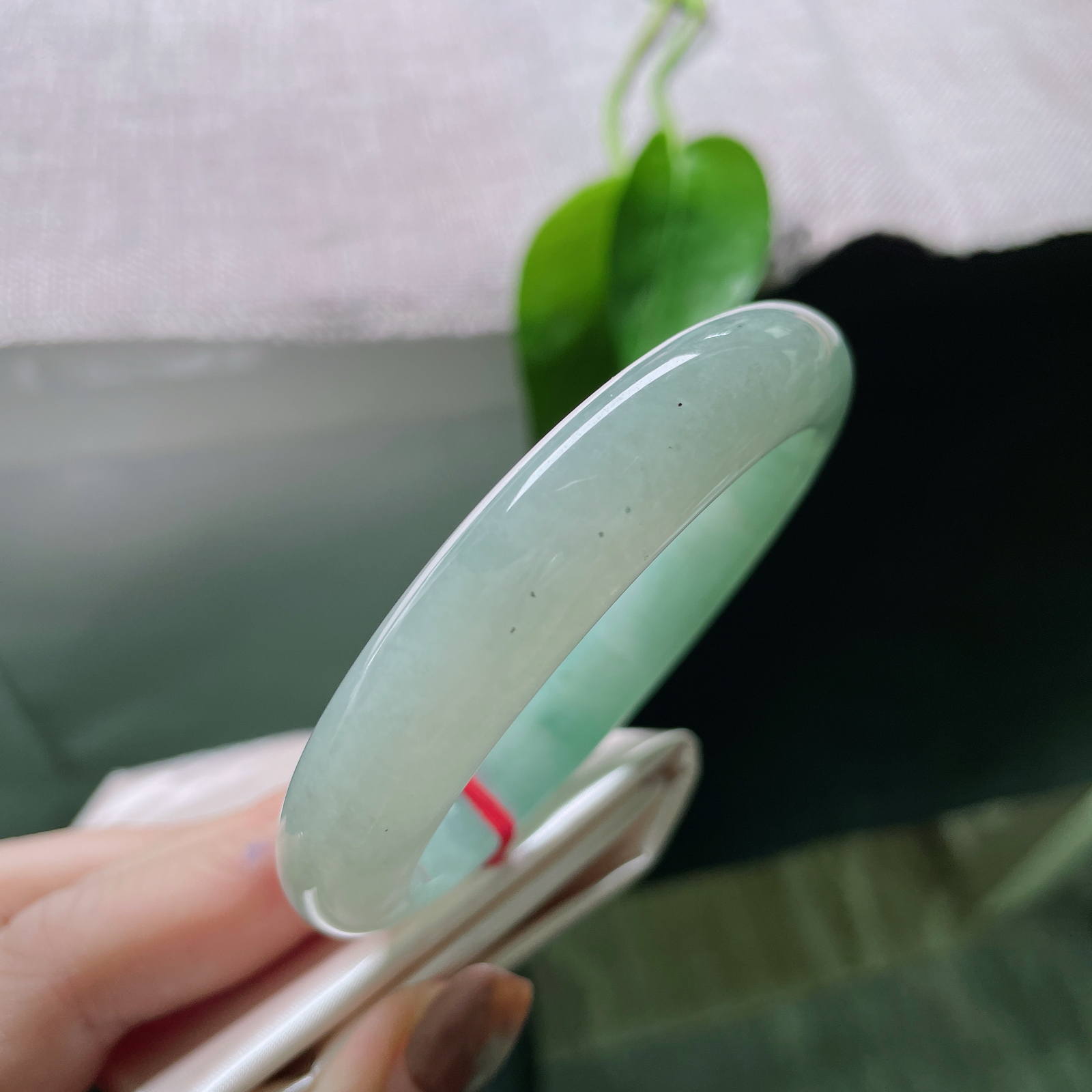 私人专拍链接58.3/12.6/9.1，浅绿底正圈。颜色由浅入深过渡自然，可盐可甜，种老，乌鸡，完美