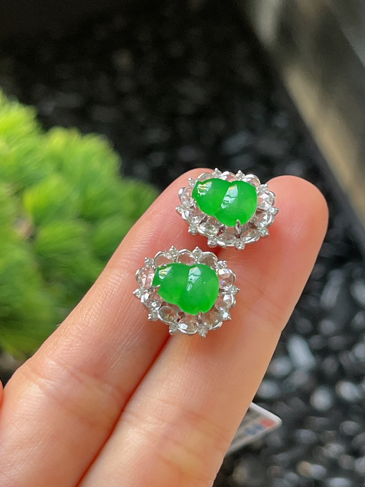 翡翠冰糯阳绿耳坠，印记：G18K,伴钻石