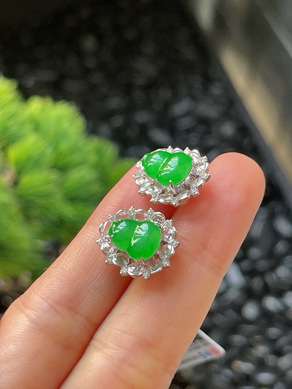 翡翠冰糯阳绿耳坠，印记：G18K,伴钻石