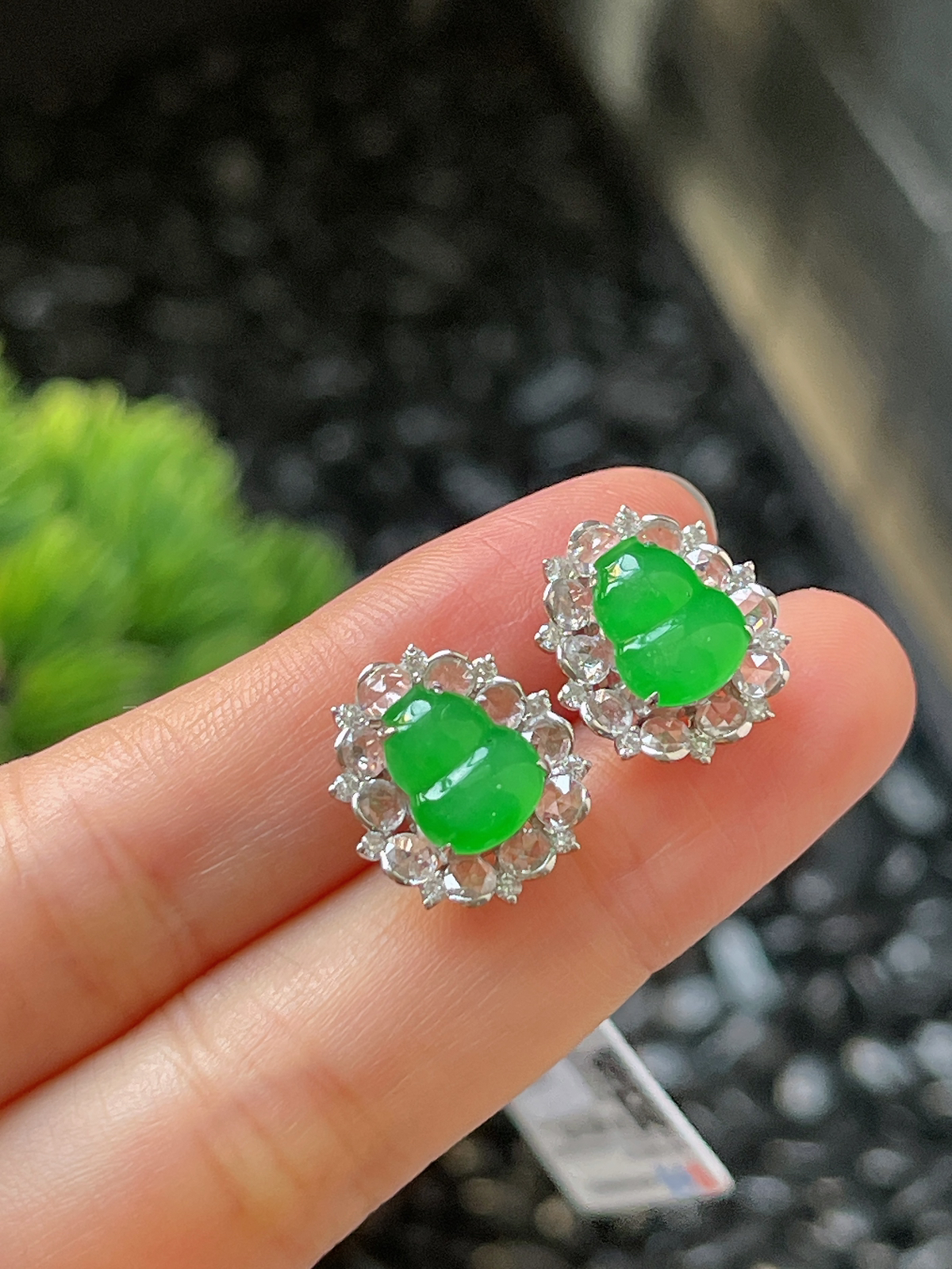 翡翠冰糯阳绿耳坠，印记：G18K,伴钻石