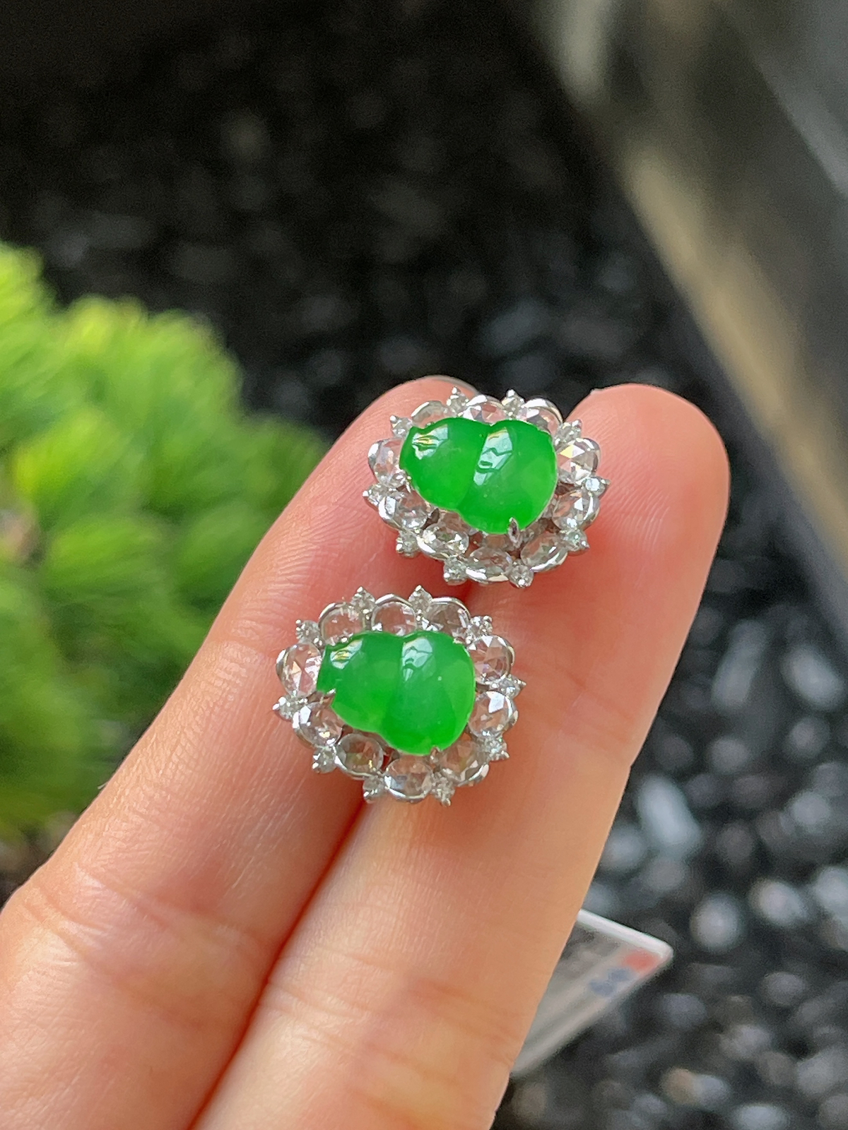 翡翠冰糯阳绿耳坠，印记：G18K,伴钻石