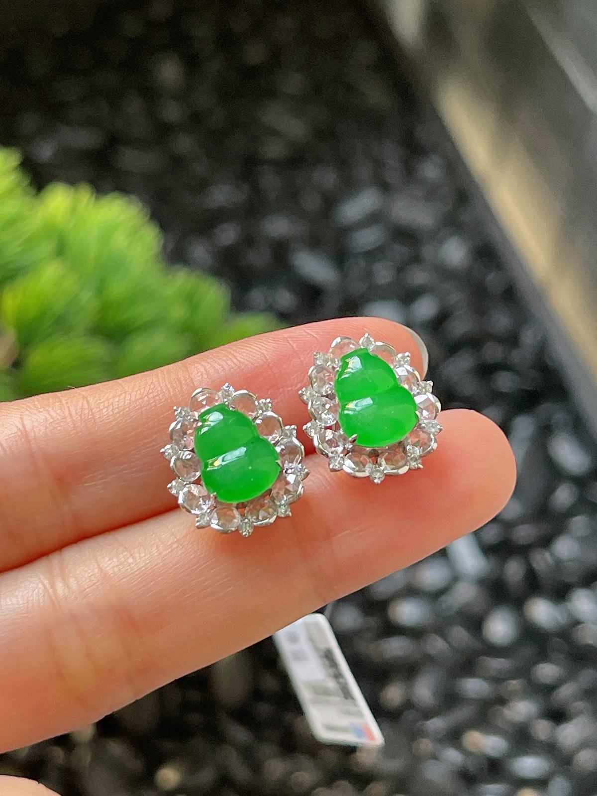 翡翠冰糯阳绿耳坠，印记：G18K,伴钻石