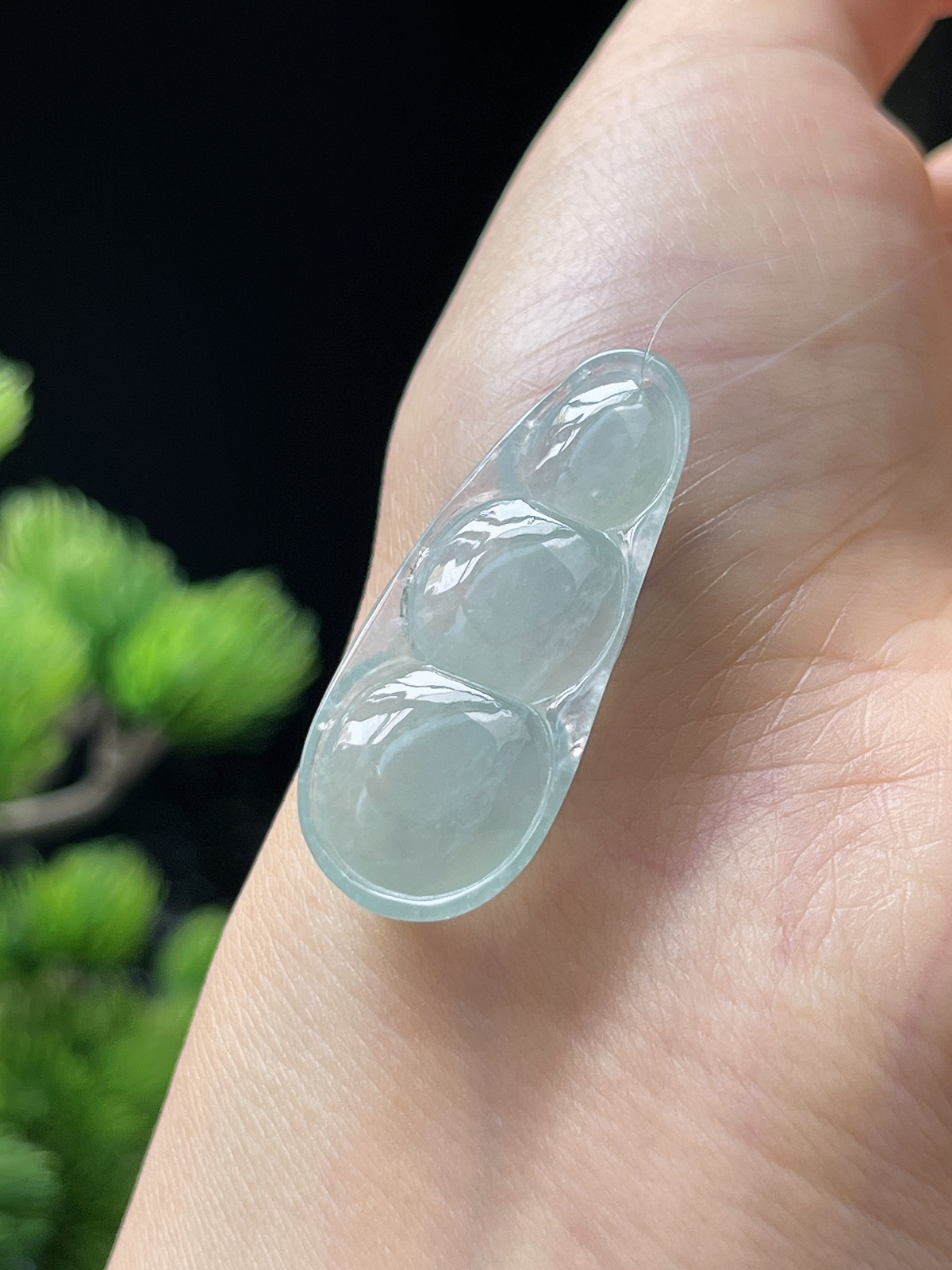 翡翠冰糯种淡绿色四季豆挂件