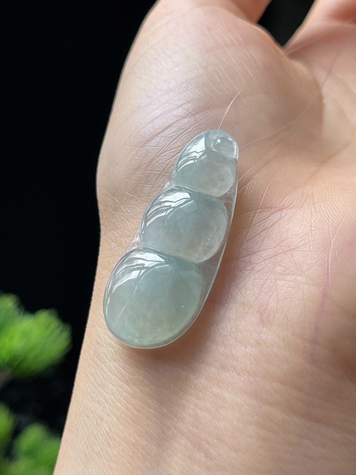 翡翠冰糯种淡绿色四季豆挂件