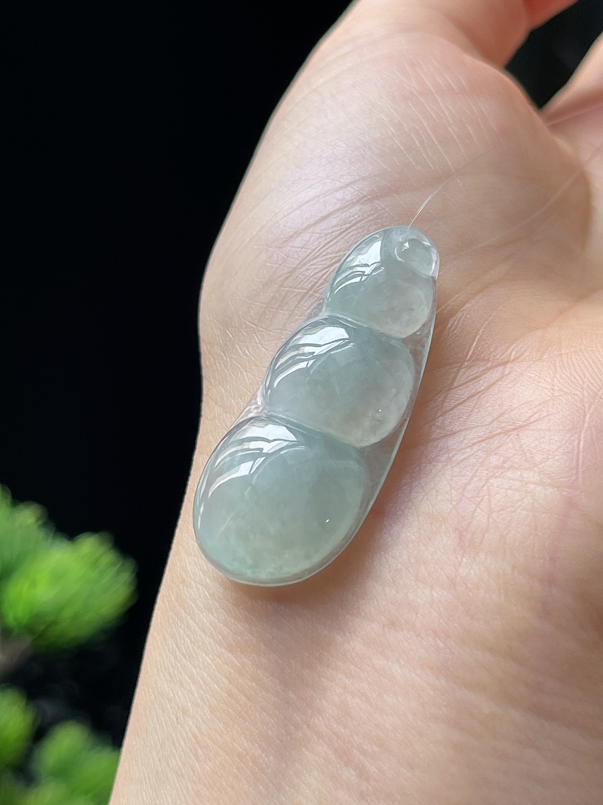 翡翠冰糯种淡绿色四季豆挂件