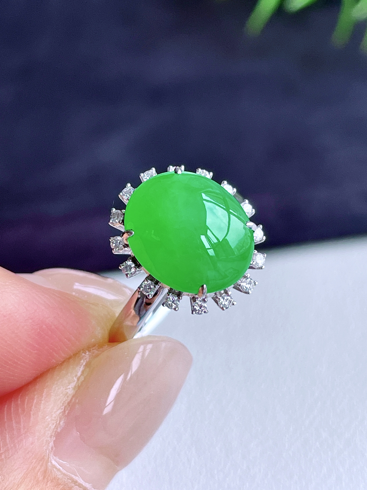 【镶嵌】高冰阳绿蛋面戒指 
【说明】18k金镶嵌 性价比高  
【整体】14.6-12.7-11.1
【裸石】11.7-10-5.2
【圈口】14号