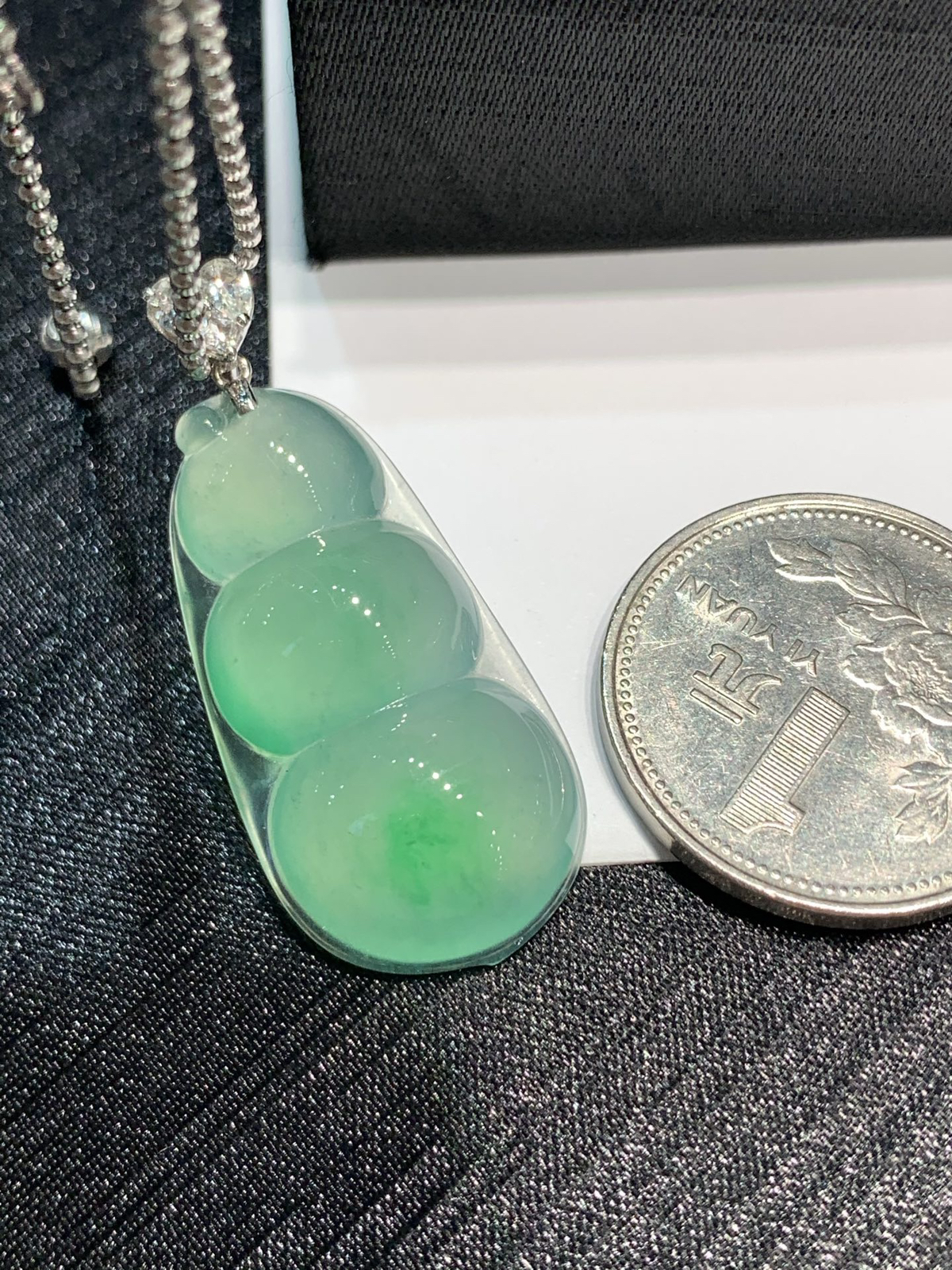 冰晴绿福豆，福气满满~