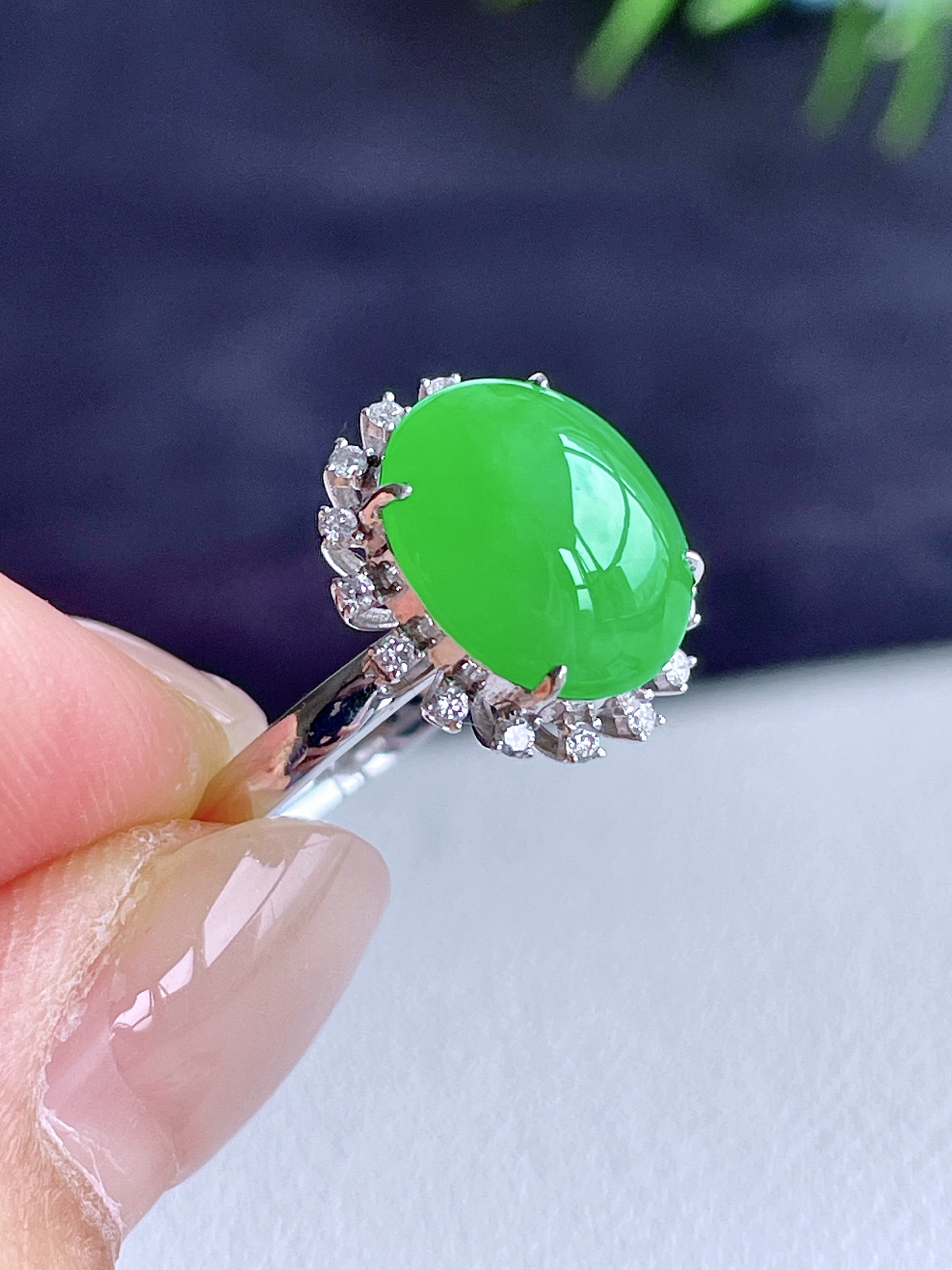 【镶嵌】高冰阳绿蛋面戒指 
【说明】18k金镶嵌 性价比高  
【整体】14.6-12.7-11.1
【裸石】11.7-10-5.2
【圈口】14号