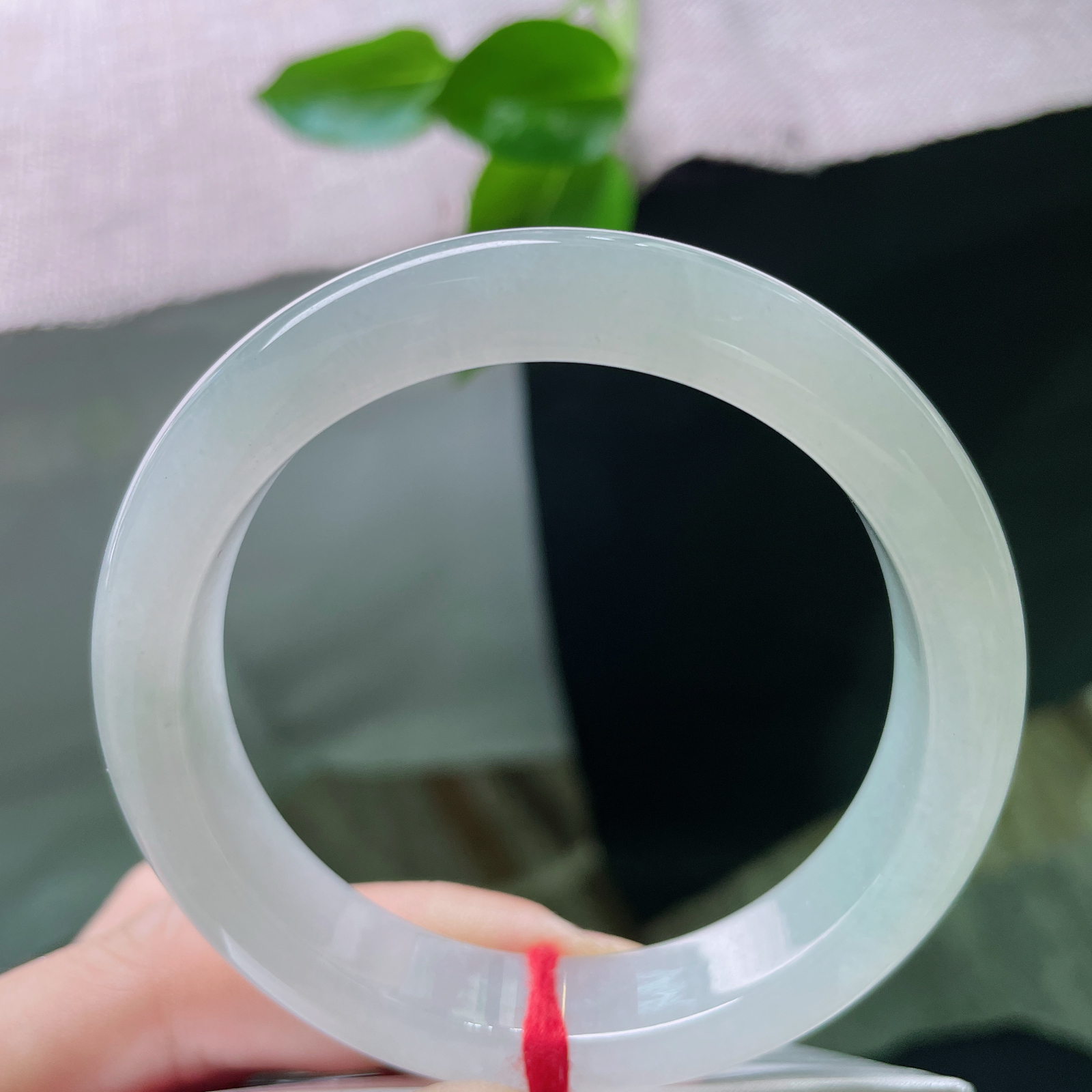 56/12.1/8.4，冰晴底正圈，种老，一汪冰晴，腕间清欢。澄澈明亮