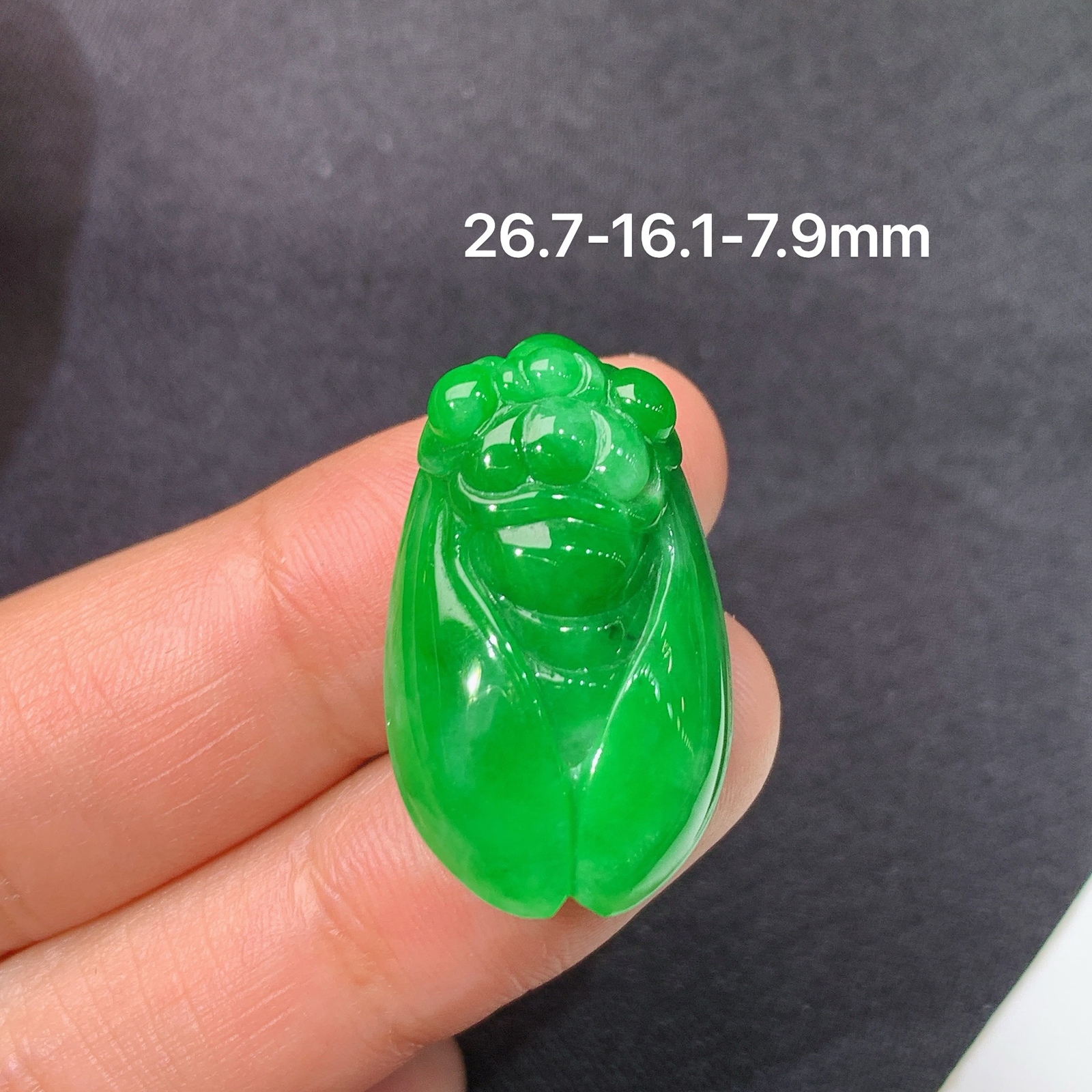 阳绿金蝉，一鸣惊人，冰润色阳，玉质细腻，种水足，Hon 尺寸26.7*16.1*7.9