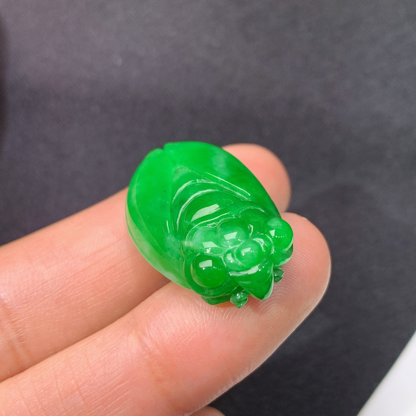 阳绿金蝉，一鸣惊人，冰润色阳，玉质细腻，种水足，Hon 尺寸26.7*16.1*7.9