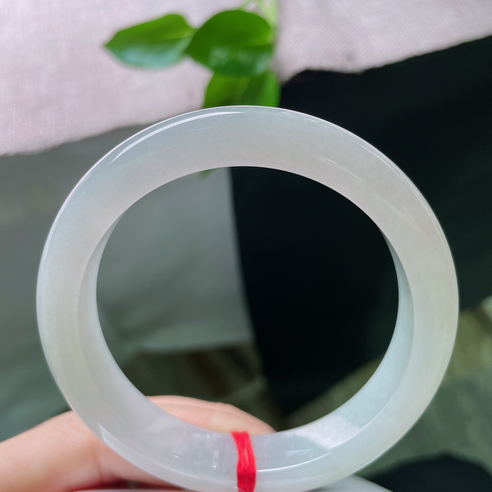 57.3/12.2/8.8淡绿底正圈，水润细腻，婉间的温柔，岁月静好