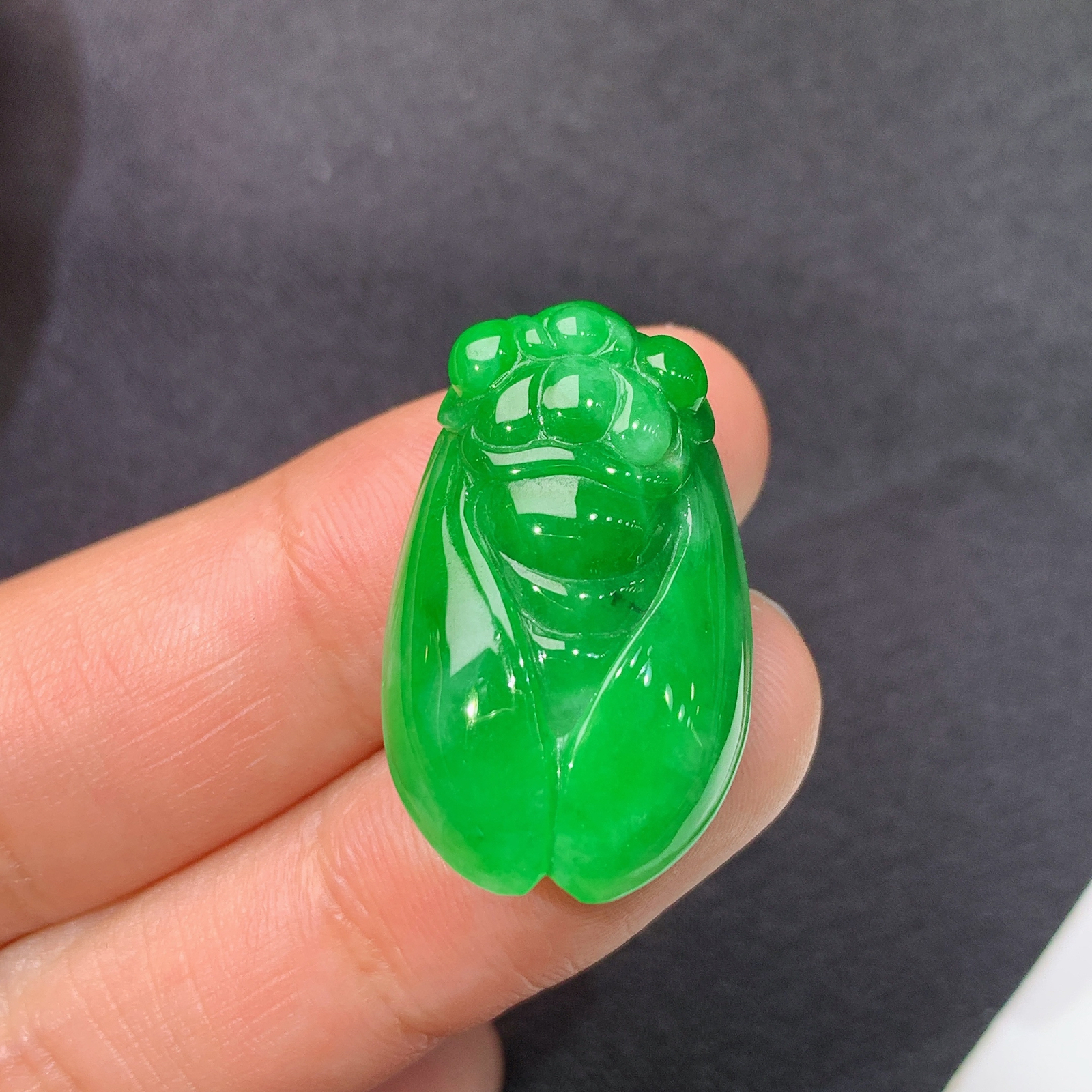 阳绿金蝉，一鸣惊人，冰润色阳，玉质细腻，种水足，Hon 尺寸26.7*16.1*7.9