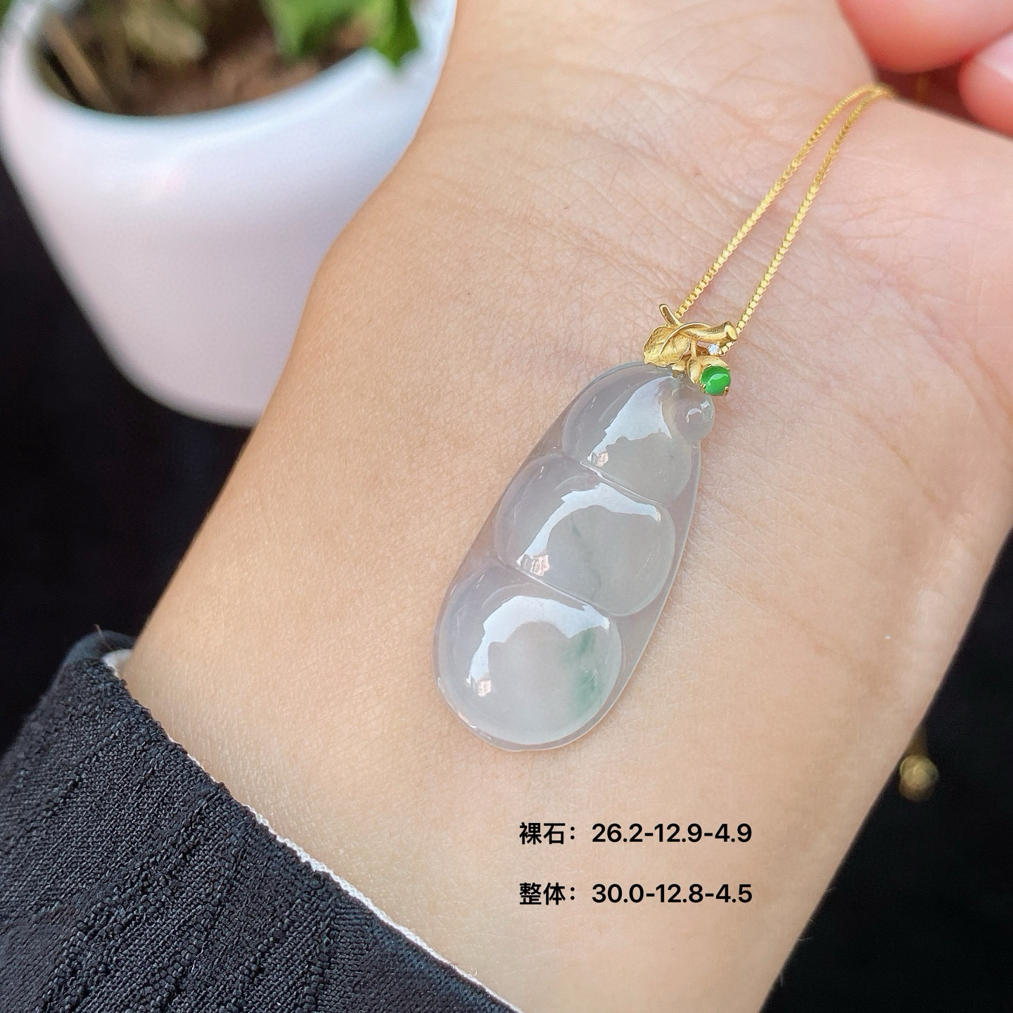 冰种福豆 
冰透水润，质地细腻
豆荚圆润饱满，18k金镶嵌
实物更美～