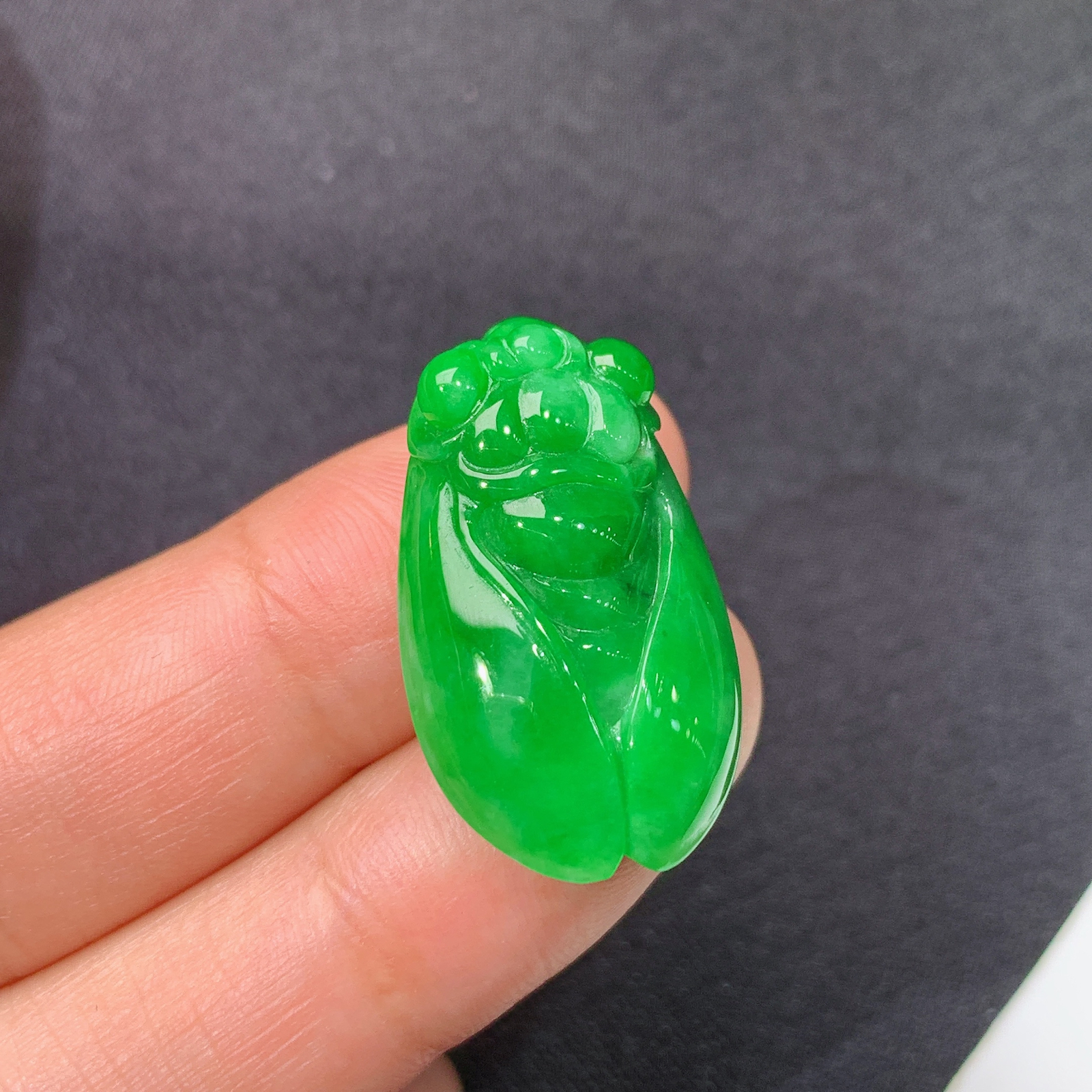 阳绿金蝉，一鸣惊人，冰润色阳，玉质细腻，种水足，Hon 尺寸26.7*16.1*7.9