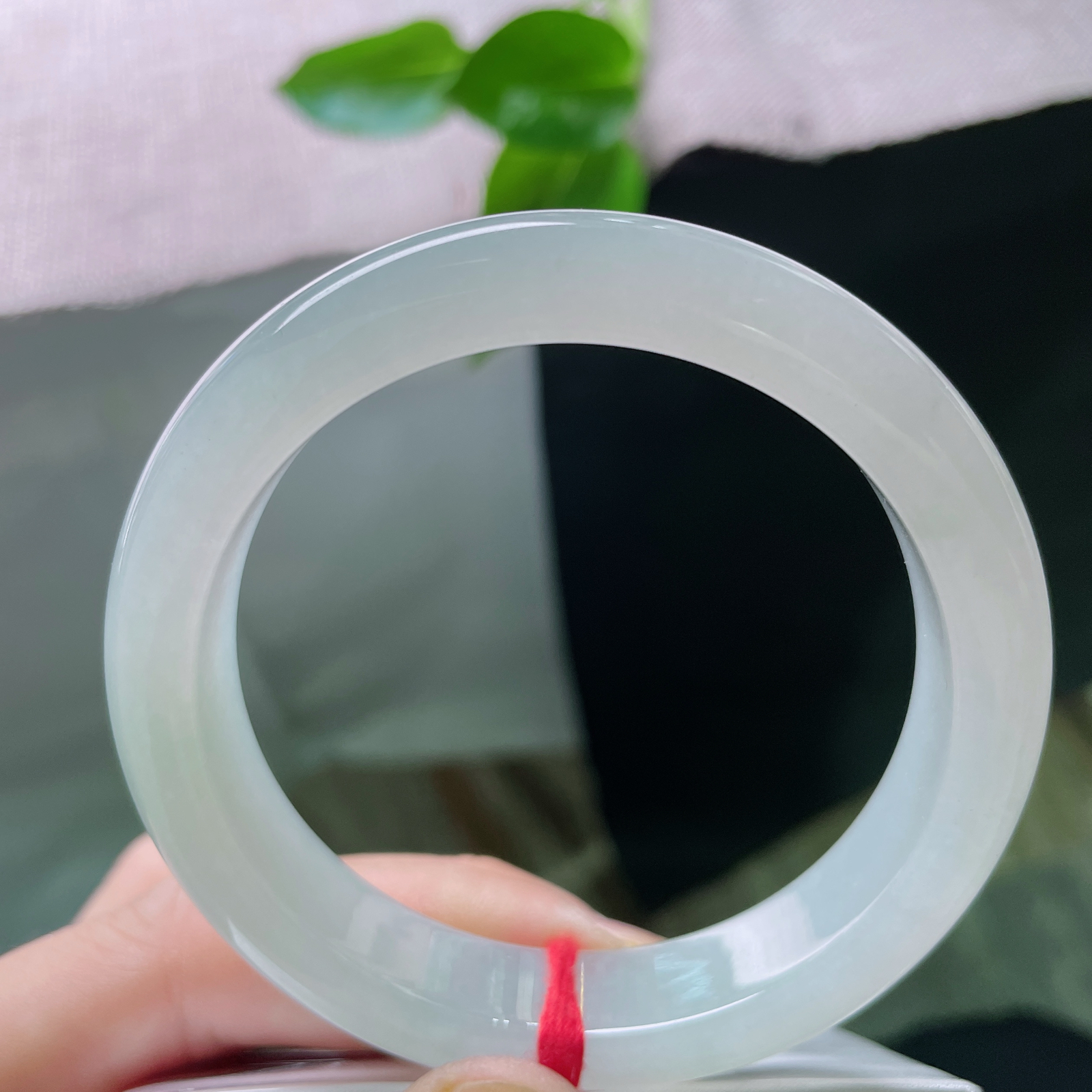 56/12.1/8.4，冰晴底正圈，种老，一汪冰晴，腕间清欢。澄澈明亮