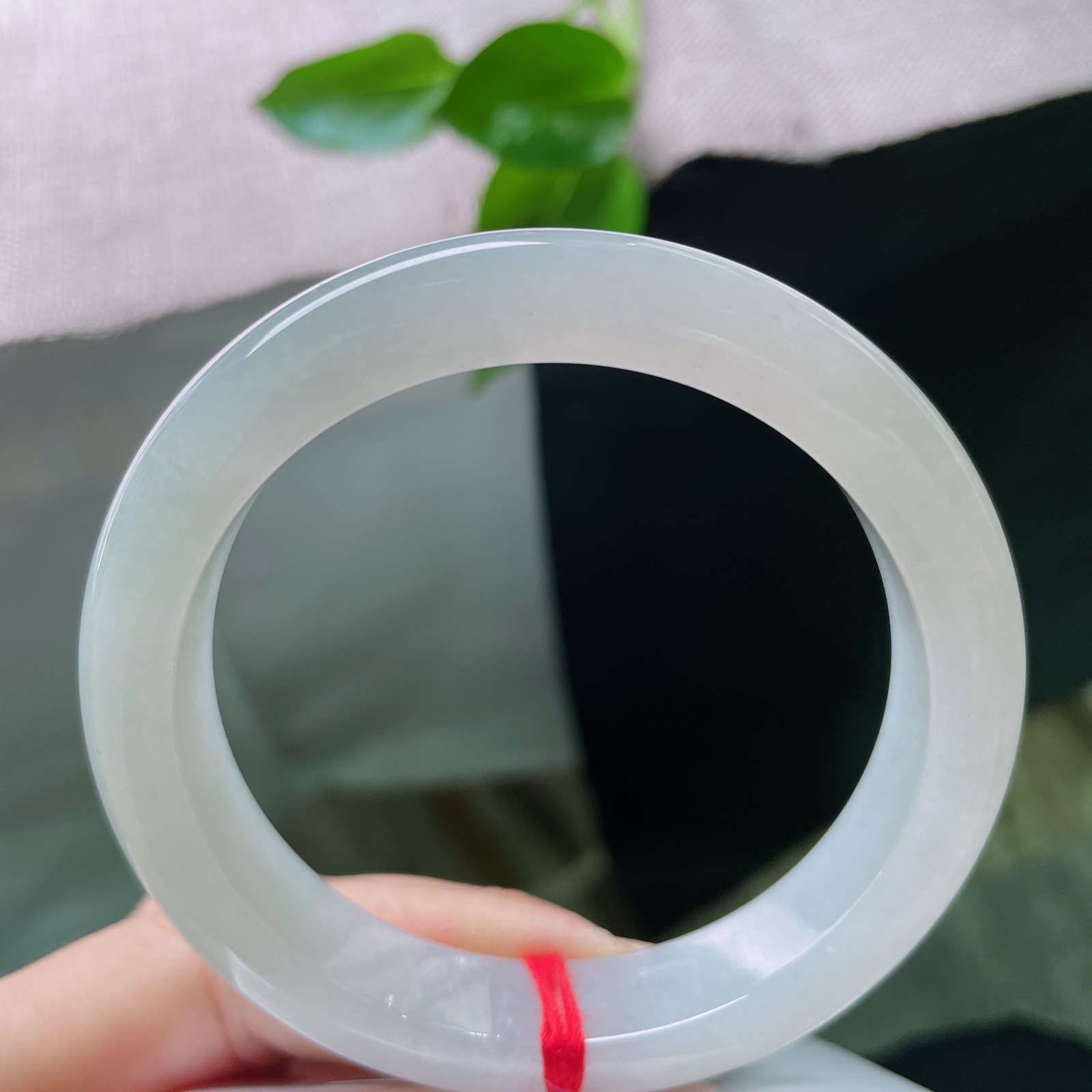 57.3/12.2/8.8淡绿底正圈，水润细腻，婉间的温柔，岁月静好