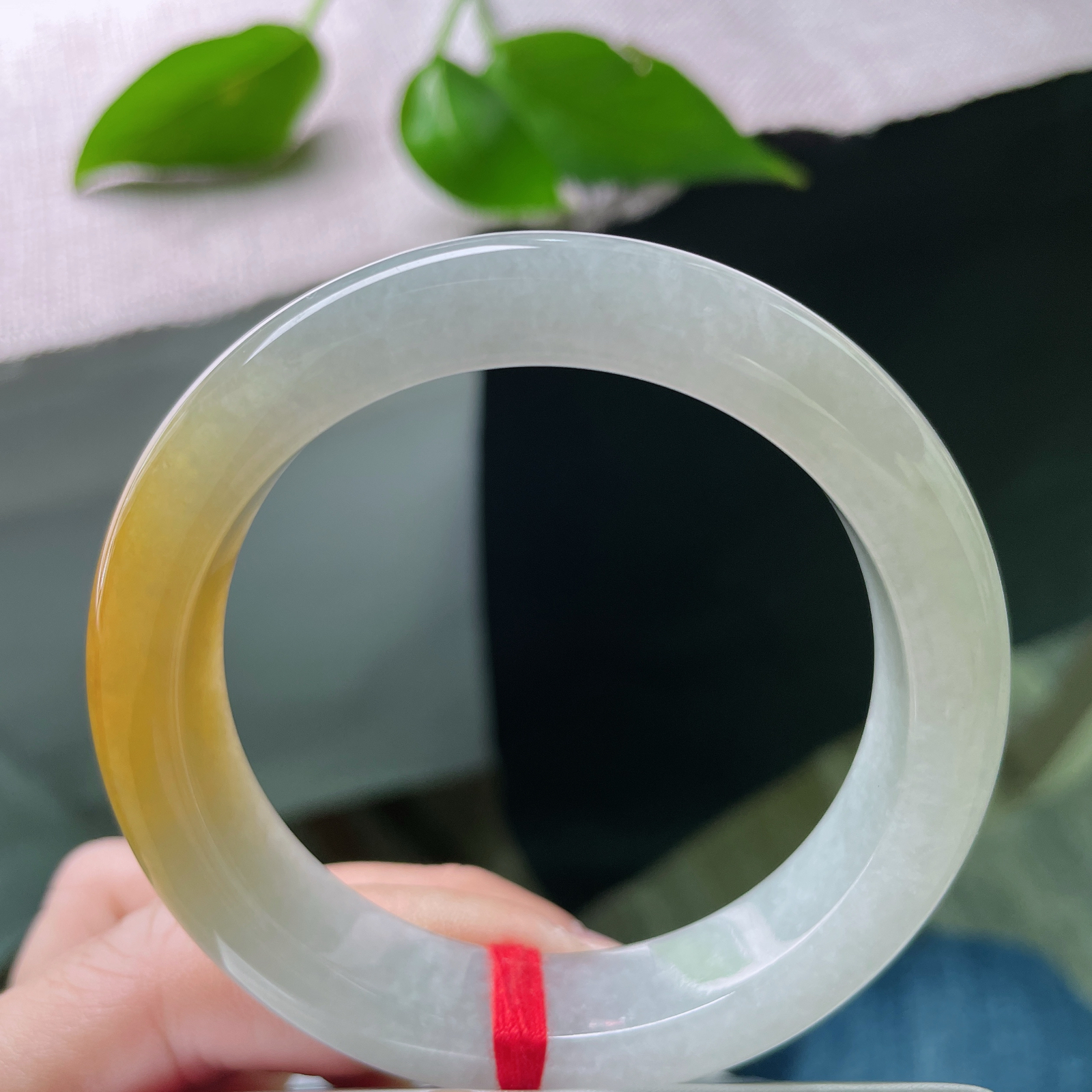 54.1/12.6/8.6黄翡正圈，水润细腻，金缕映婉，霞色生香，贵气，乌鸡