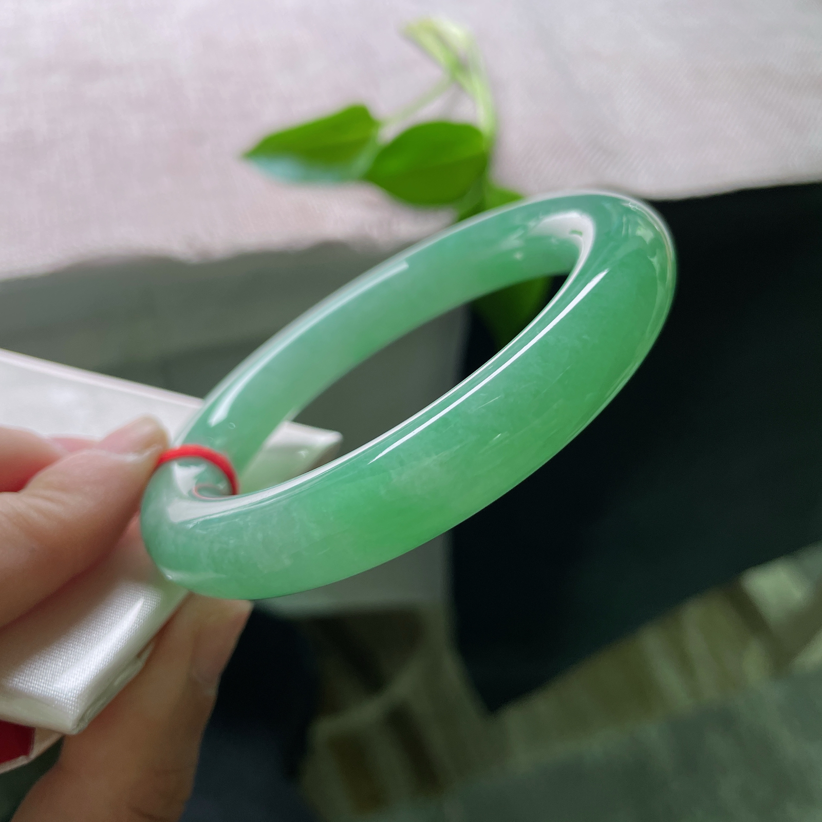 57.6/11.8，满绿圆条，圆的是福气，满的是生机。愿日子如这翠色，生生不息。棉线