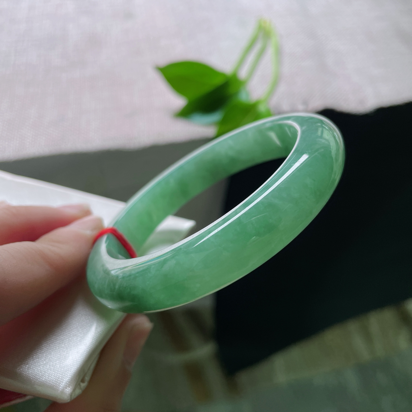 55.8/11.8/8.5，豆绿底正圈，是枝头初萌的豆蔻，是茶汤里漾开的青意。