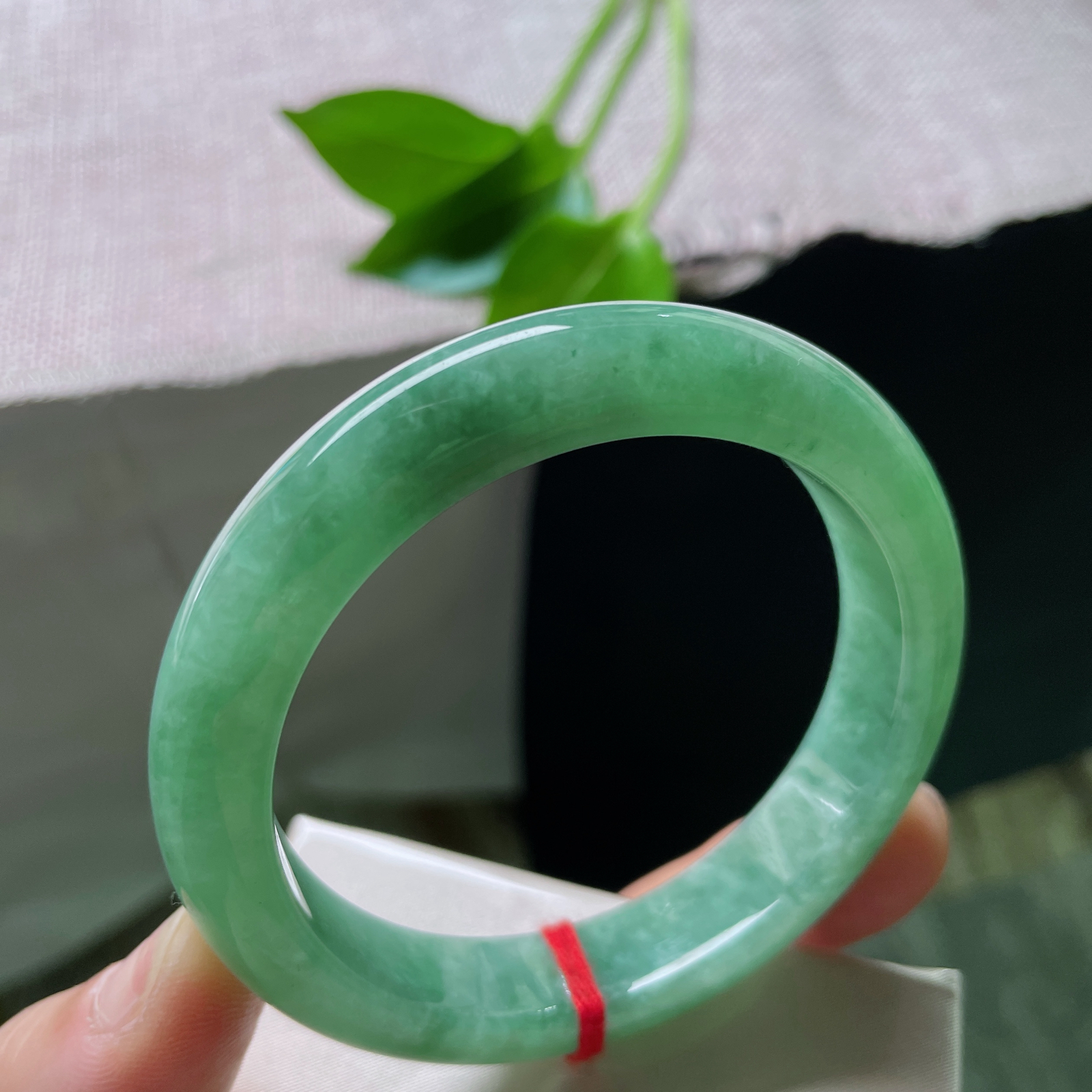 55.8/11.8/8.5，豆绿底正圈，是枝头初萌的豆蔻，是茶汤里漾开的青意。