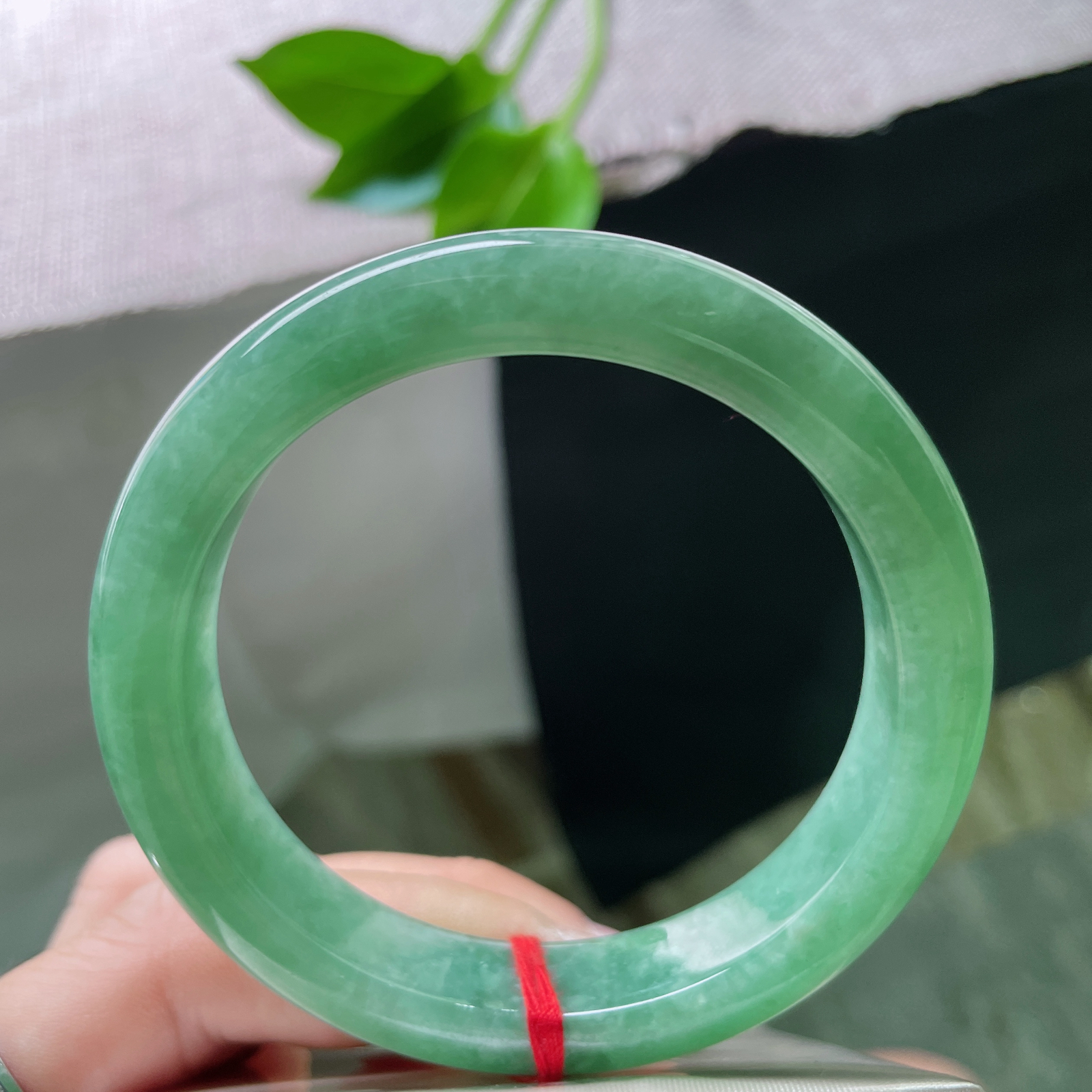 55.8/11.8/8.5，豆绿底正圈，是枝头初萌的豆蔻，是茶汤里漾开的青意。