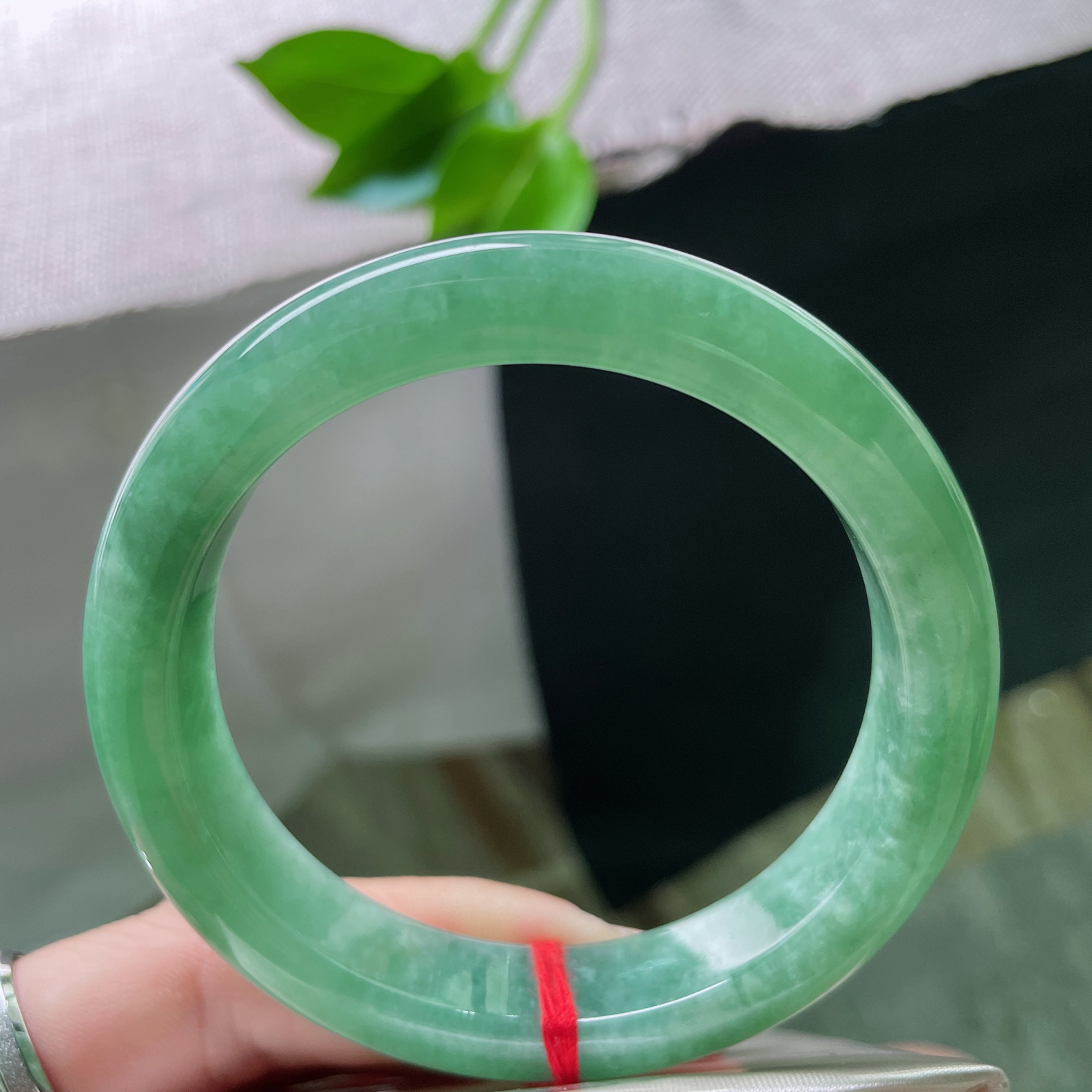 55.8/11.8/8.5，豆绿底正圈，是枝头初萌的豆蔻，是茶汤里漾开的青意。