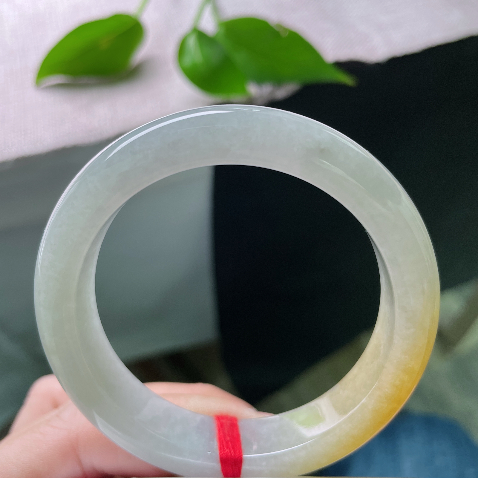 54.1/12.6/8.6黄翡正圈，水润细腻，金缕映婉，霞色生香，贵气，乌鸡