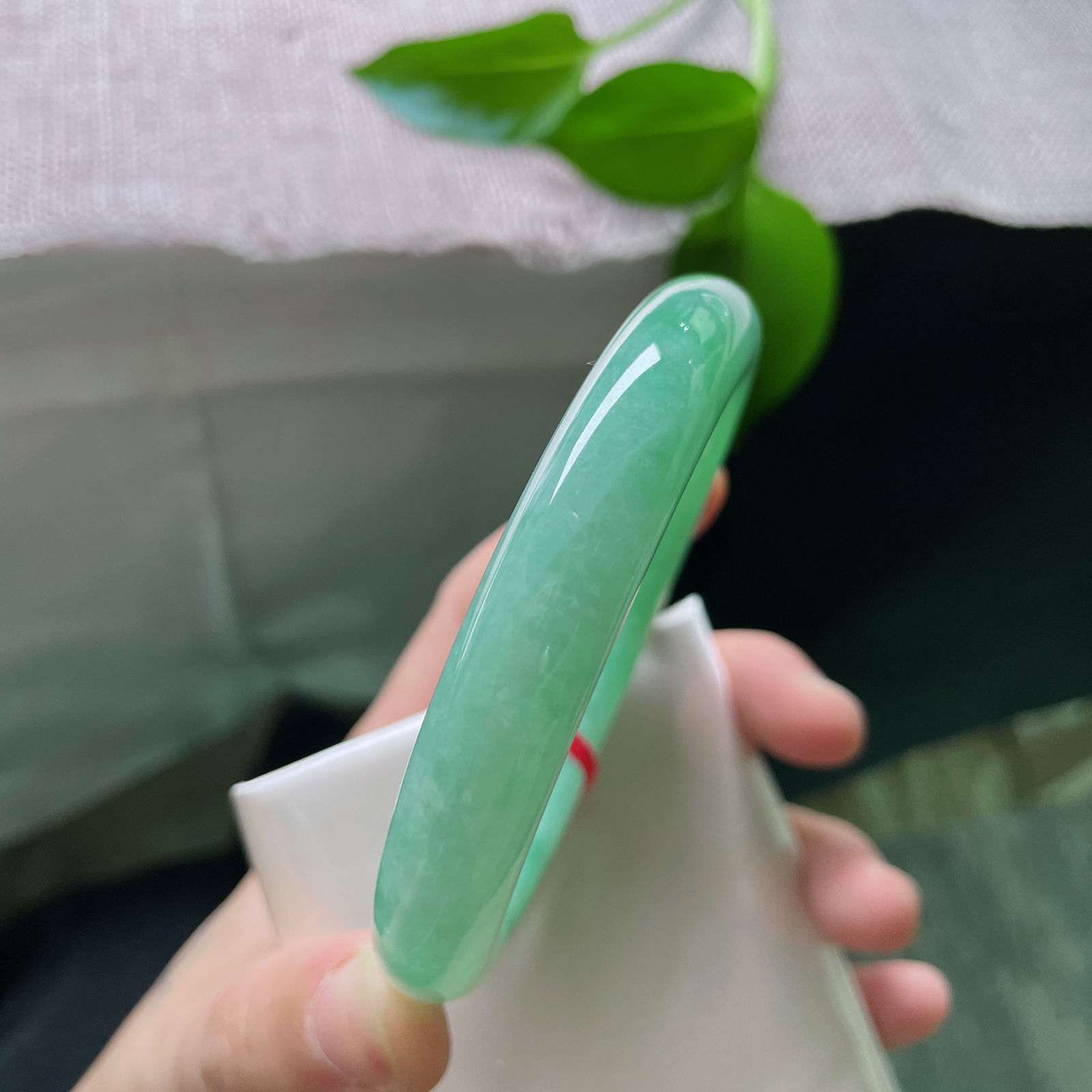 57.6/11.8，满绿圆条，圆的是福气，满的是生机。愿日子如这翠色，生生不息。棉线